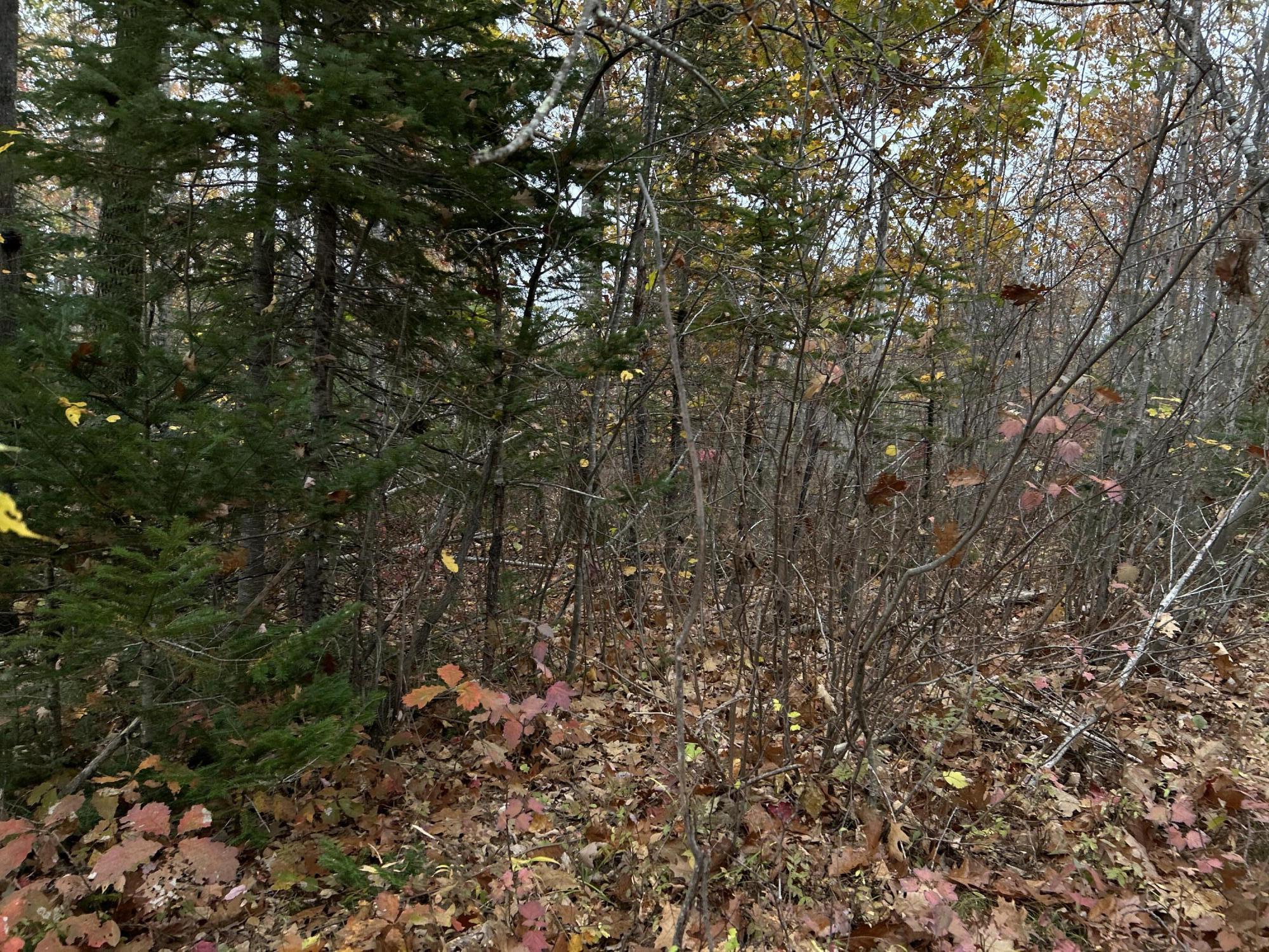 M4L18 Bog Road, Jackson, ME, 04921