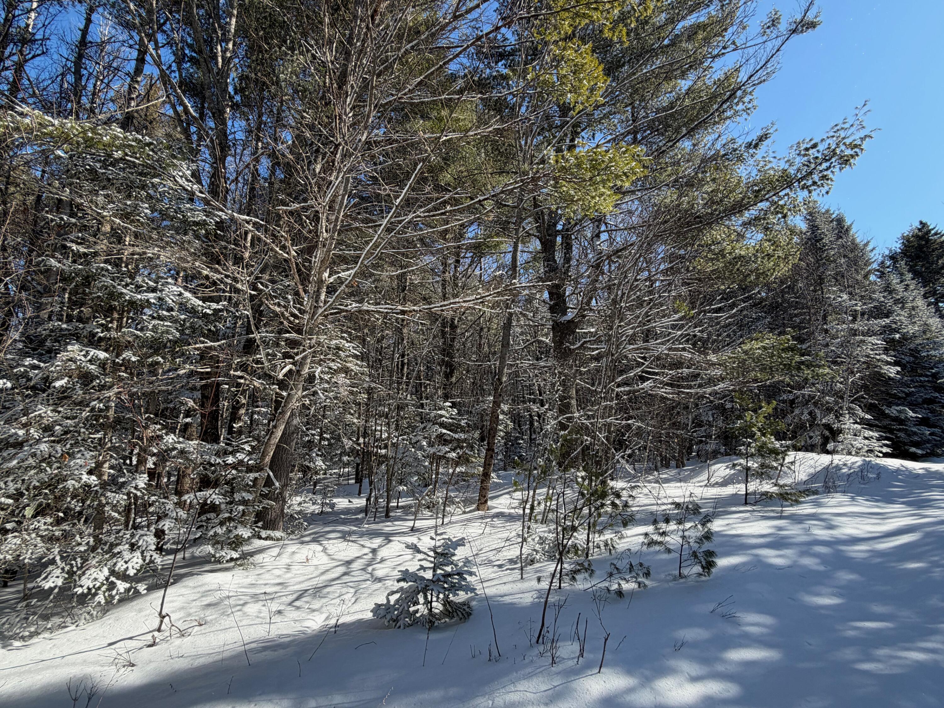 M5 Lot 1&3 East Road, Greenville, ME, 04441