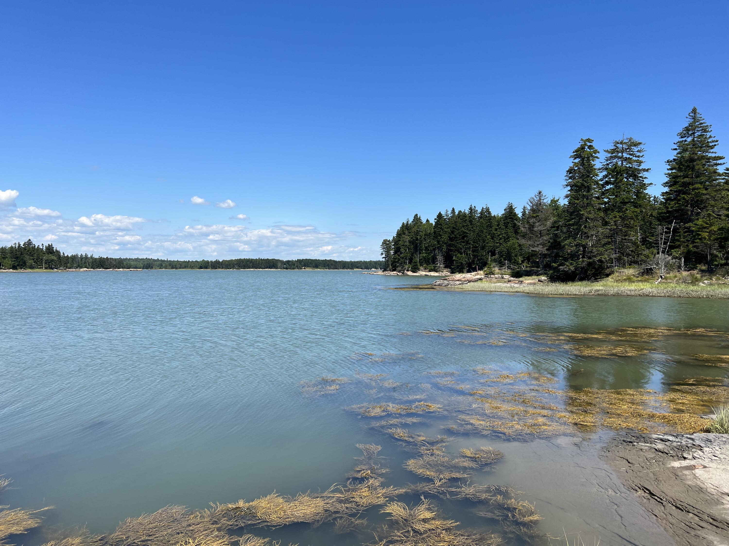 Photo of 86 Back Shore Road Steuben ME 04680