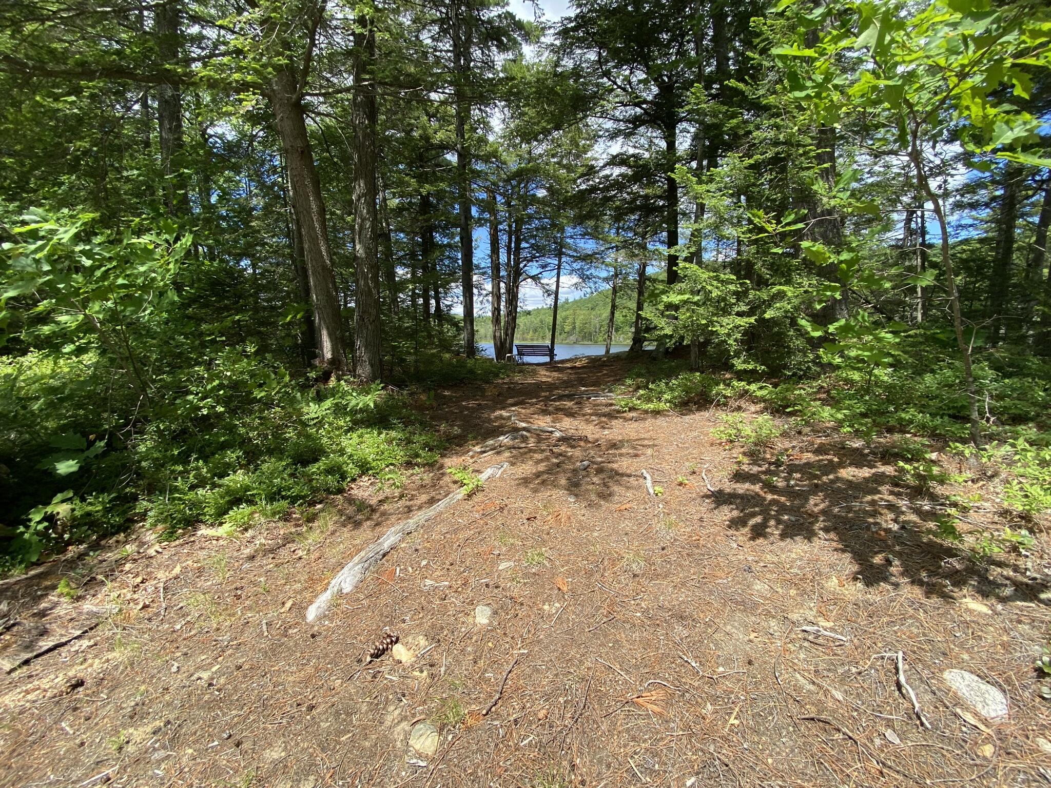 346 Bradeen Road, Sumner, ME, 04292