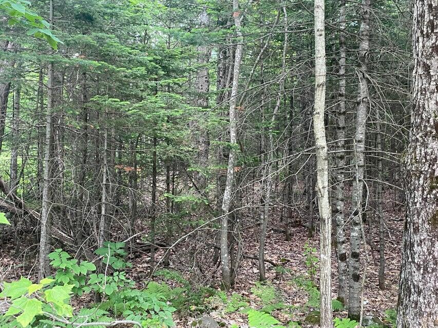 80 Gammon Road, Peru, ME, 04290