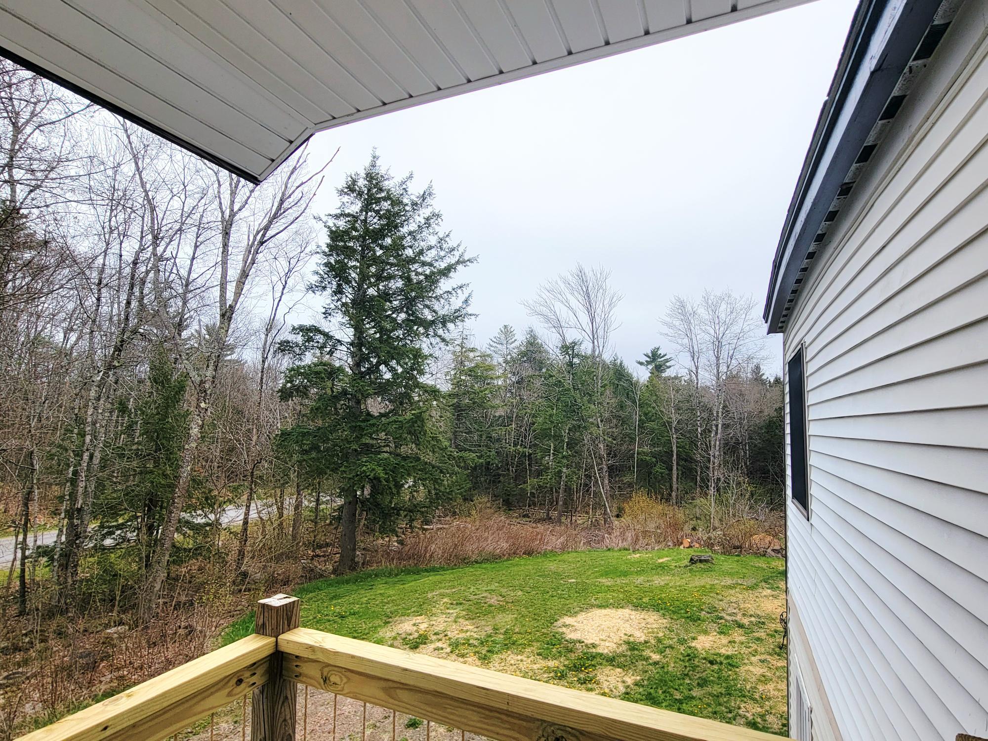 View From Primary Toward Blackberries & Sideyard