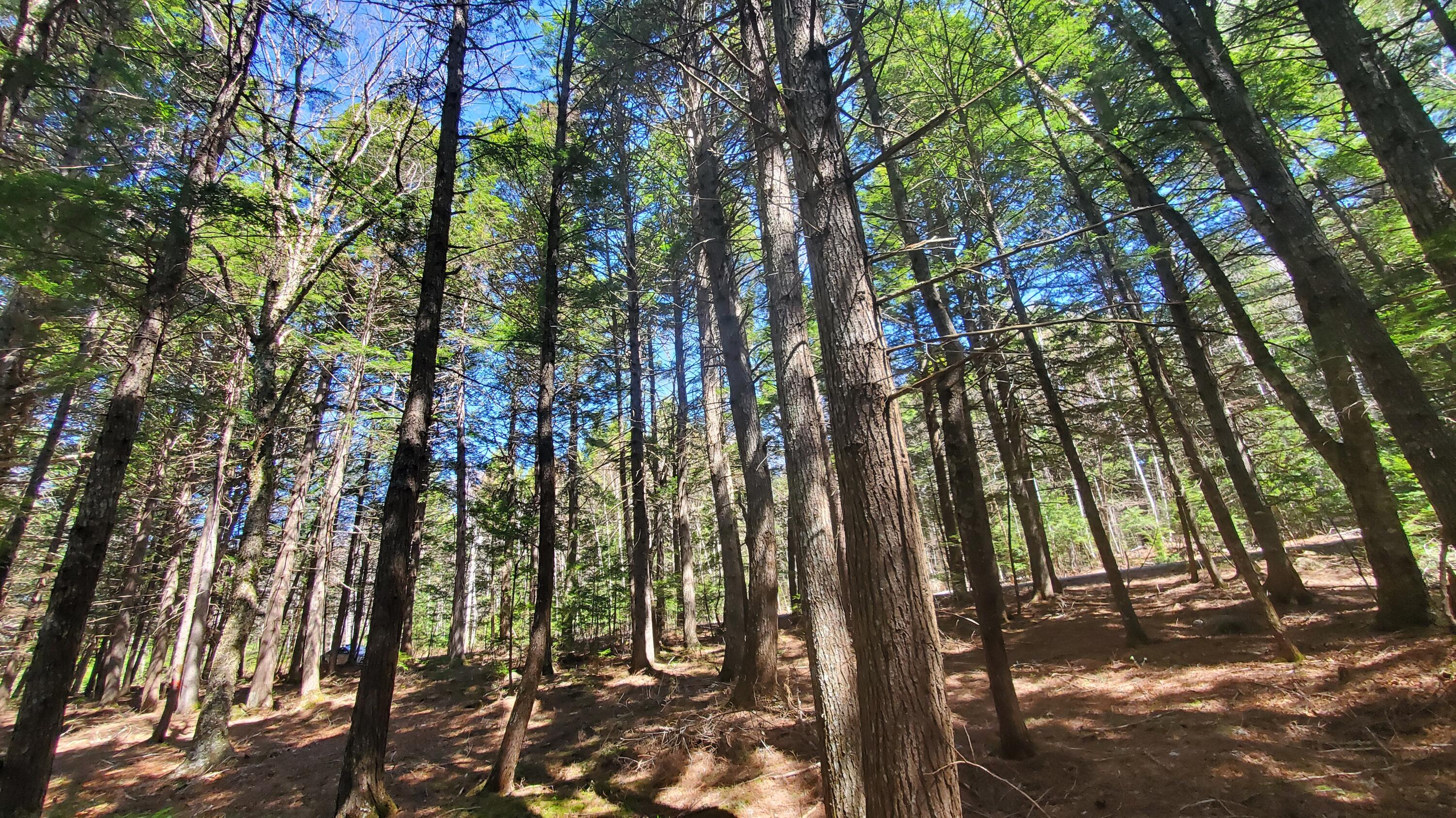 307 Lakeville Shores Road, Lakeville, ME, 04487