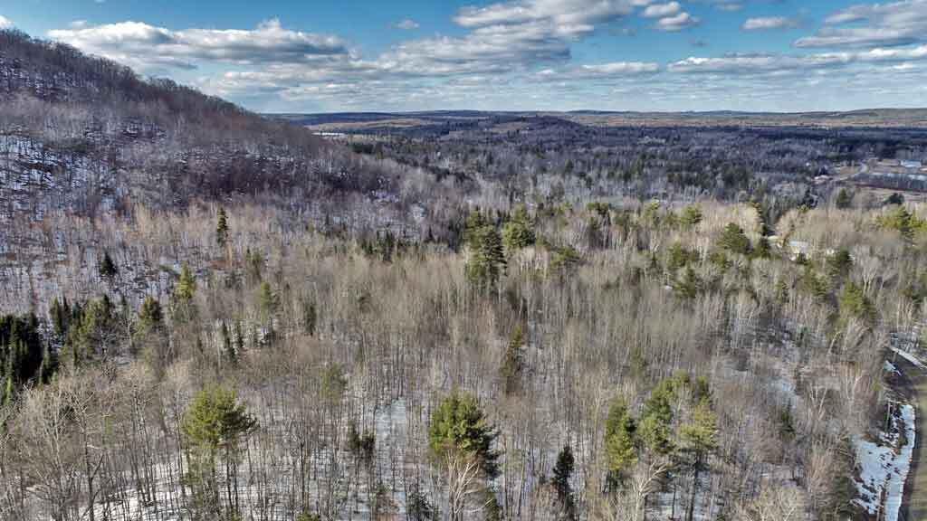 Lot 11 Drews Mill Road, Linneus, ME, 04730