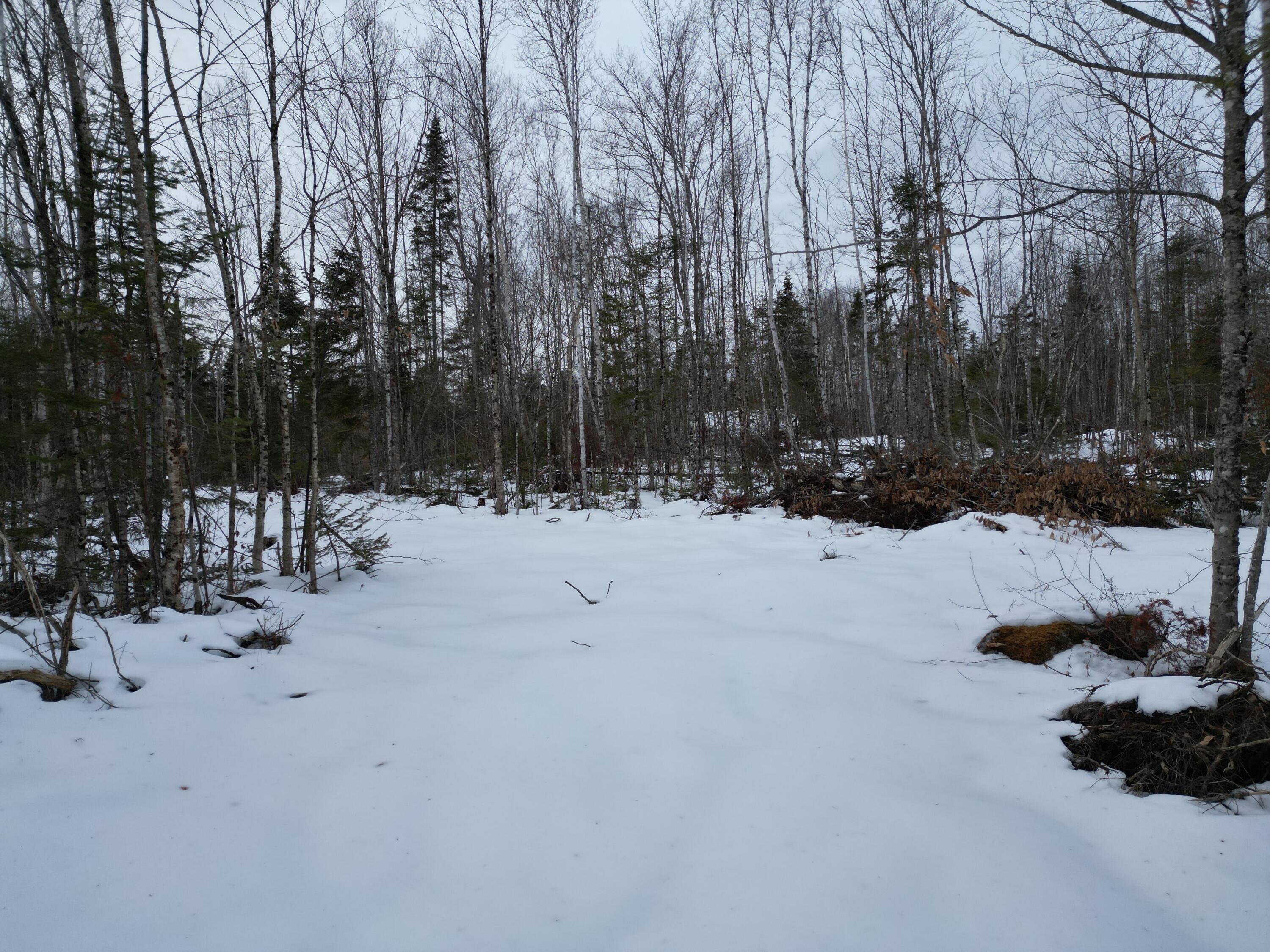 Lot 1 Moores Road, Springfield, ME, 04487