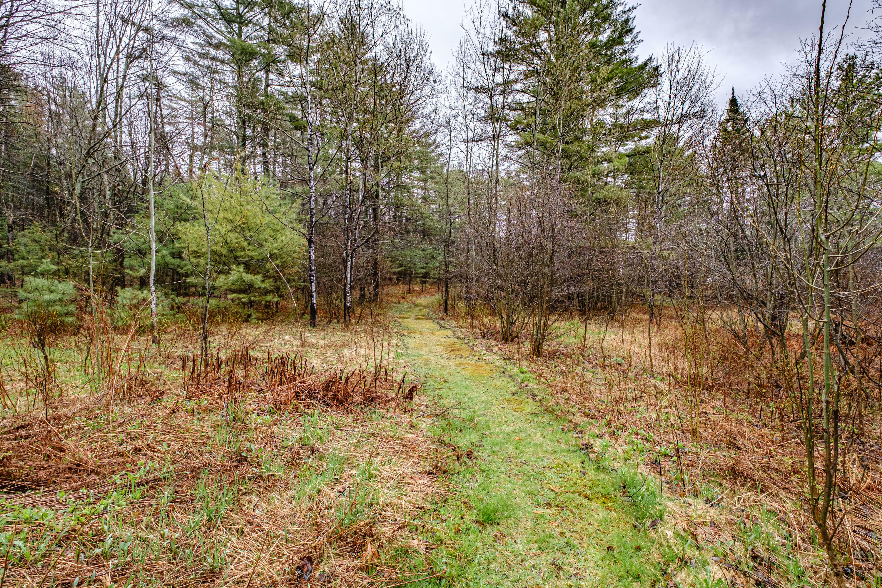 239 S Main Street, Andover, ME, 04216