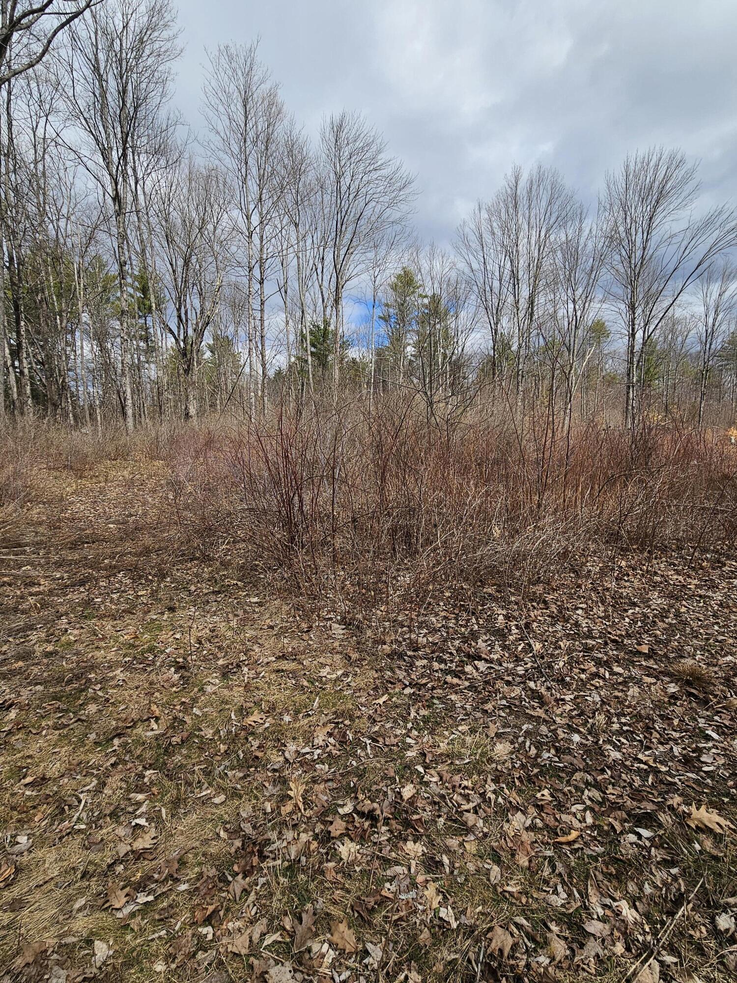 Lot 113-2 Cushman Road, Winslow, ME, 04901