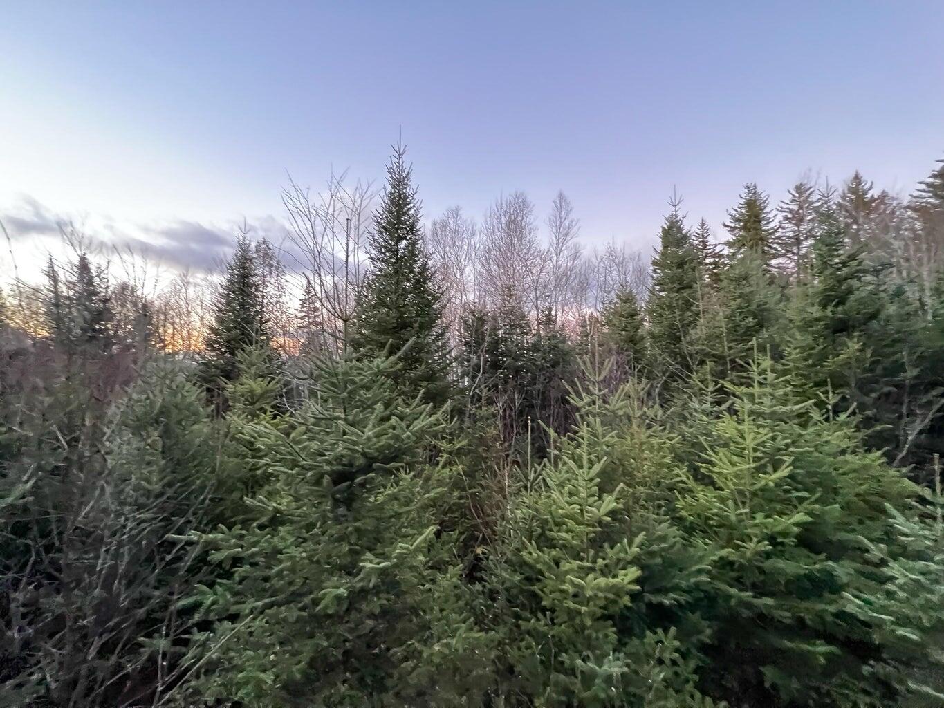 Lot 16 Mill Brook Road, Sandy River Plt, ME, 04970