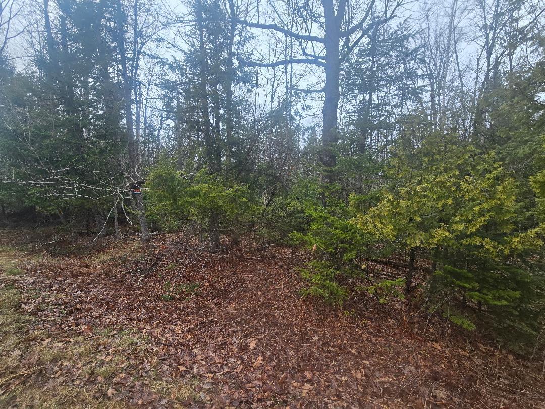 Rural Maine (10+ Acres) Real Estate For Sale