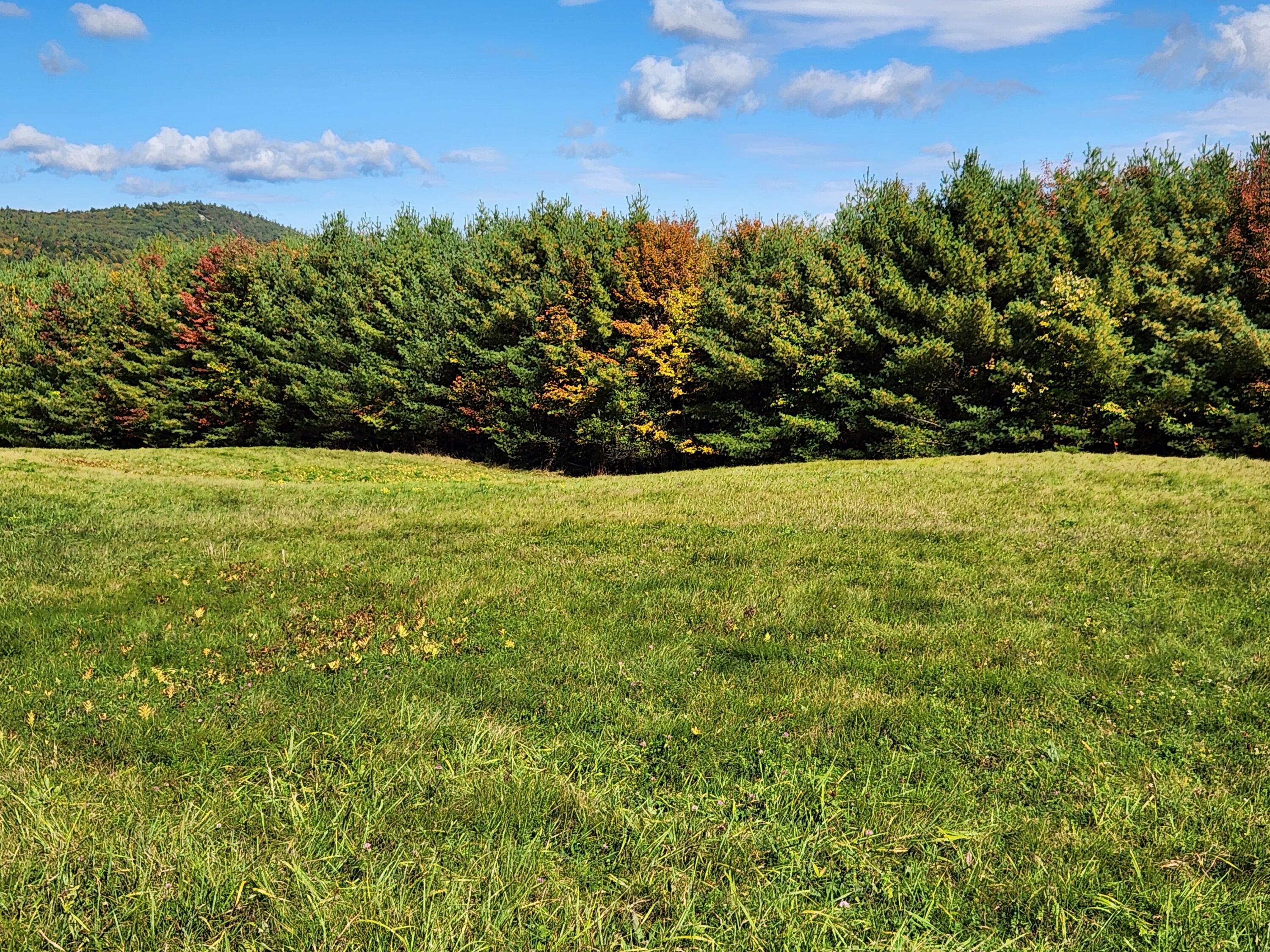 Lot 12 Bear Pond Road, Waterford, ME, 04088