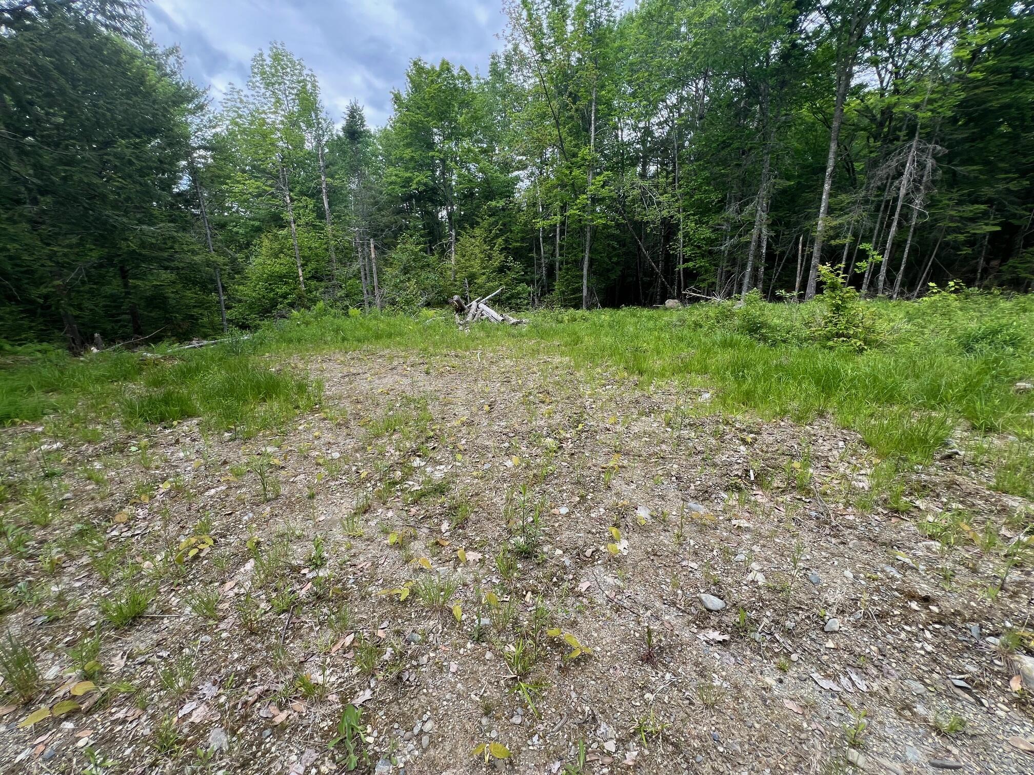 TBD Marks Mountain Way, Dedham, ME, 04429