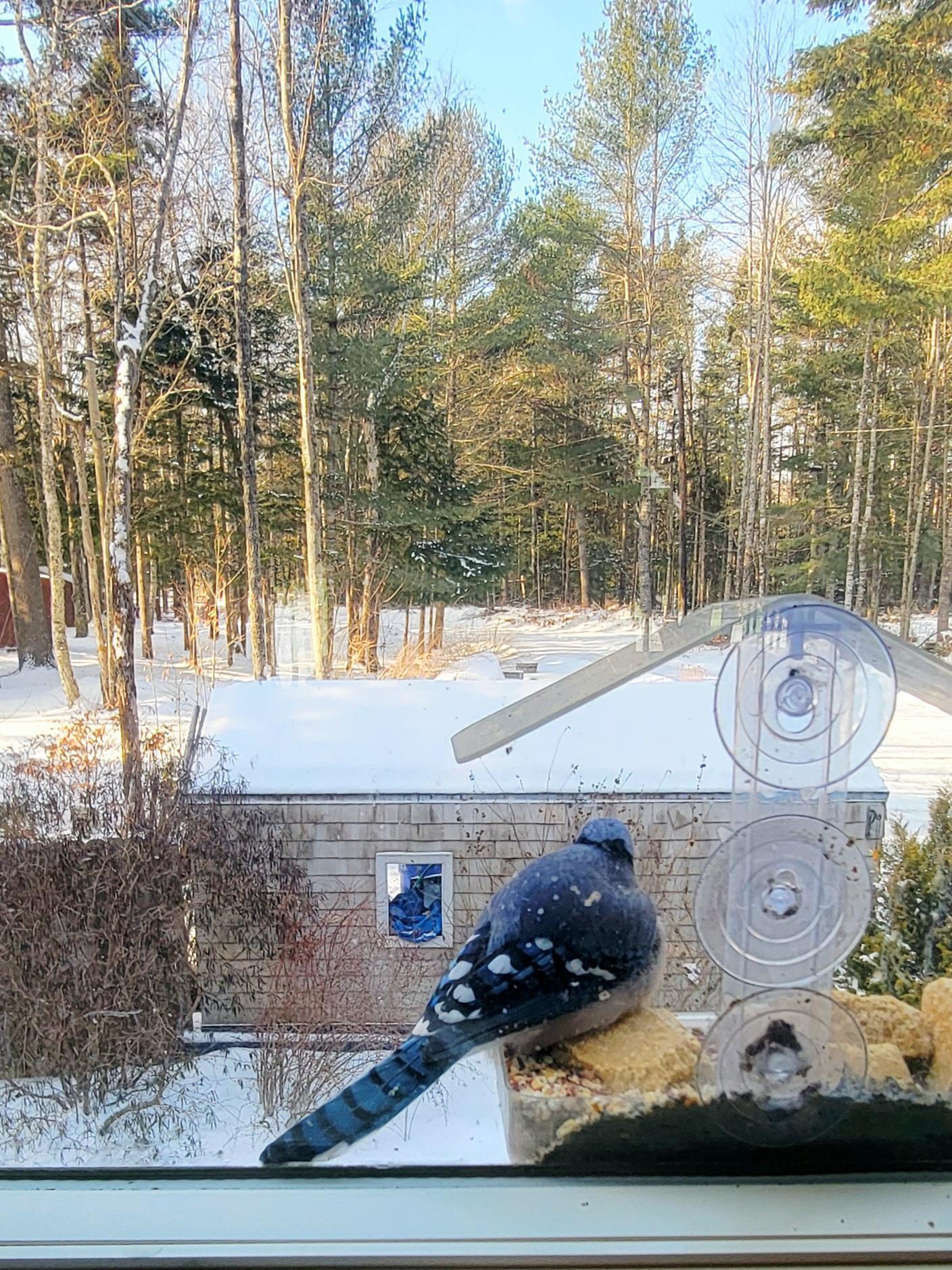 95 Silsby Road, Mariaville, ME, 04605