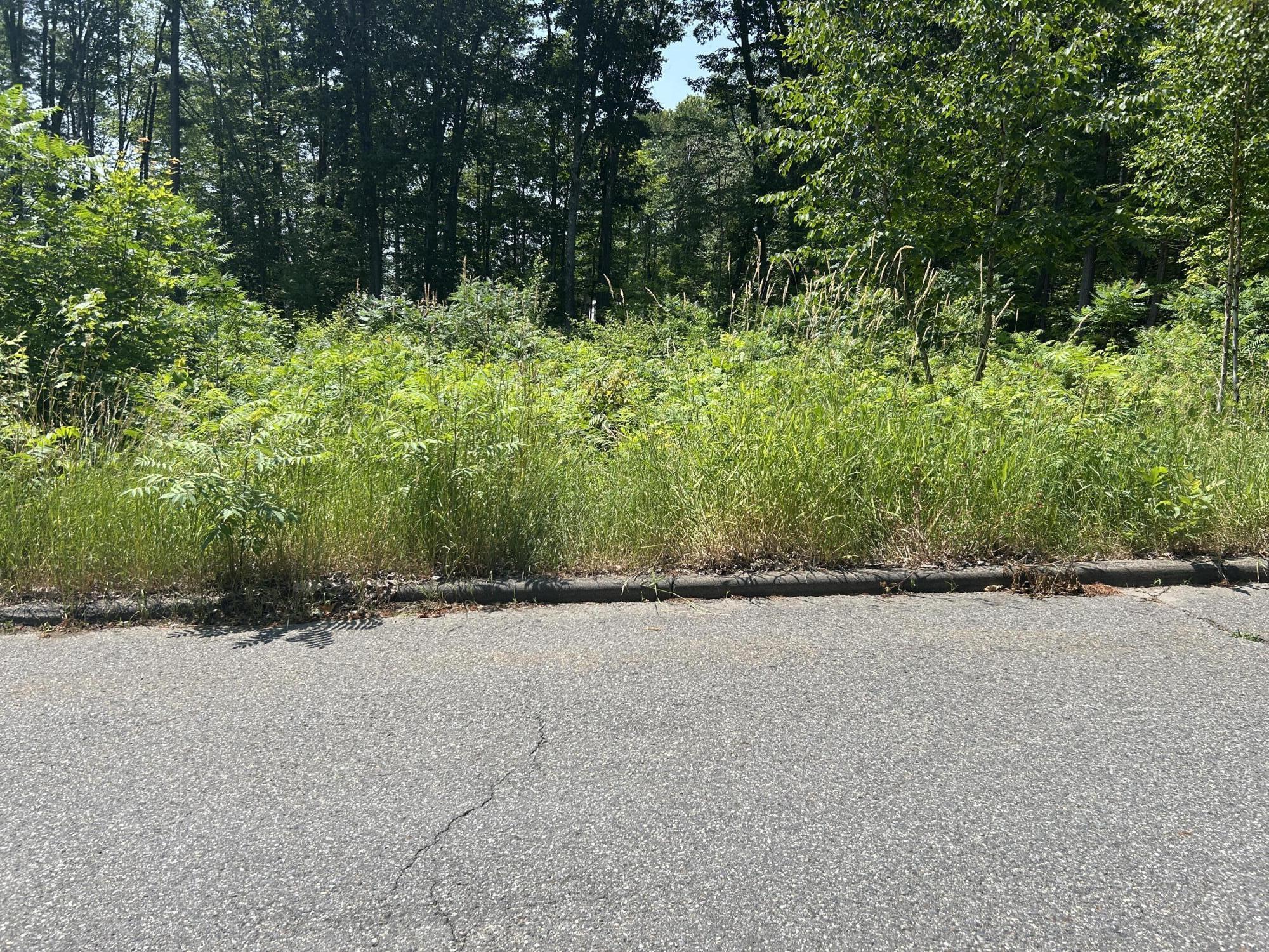 44 Barnet Ave land