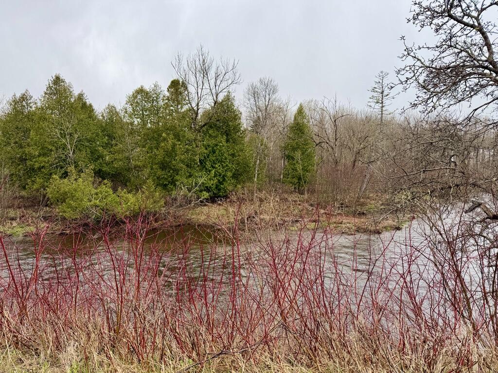 12 Elliott Road, Westfield, ME, 04787