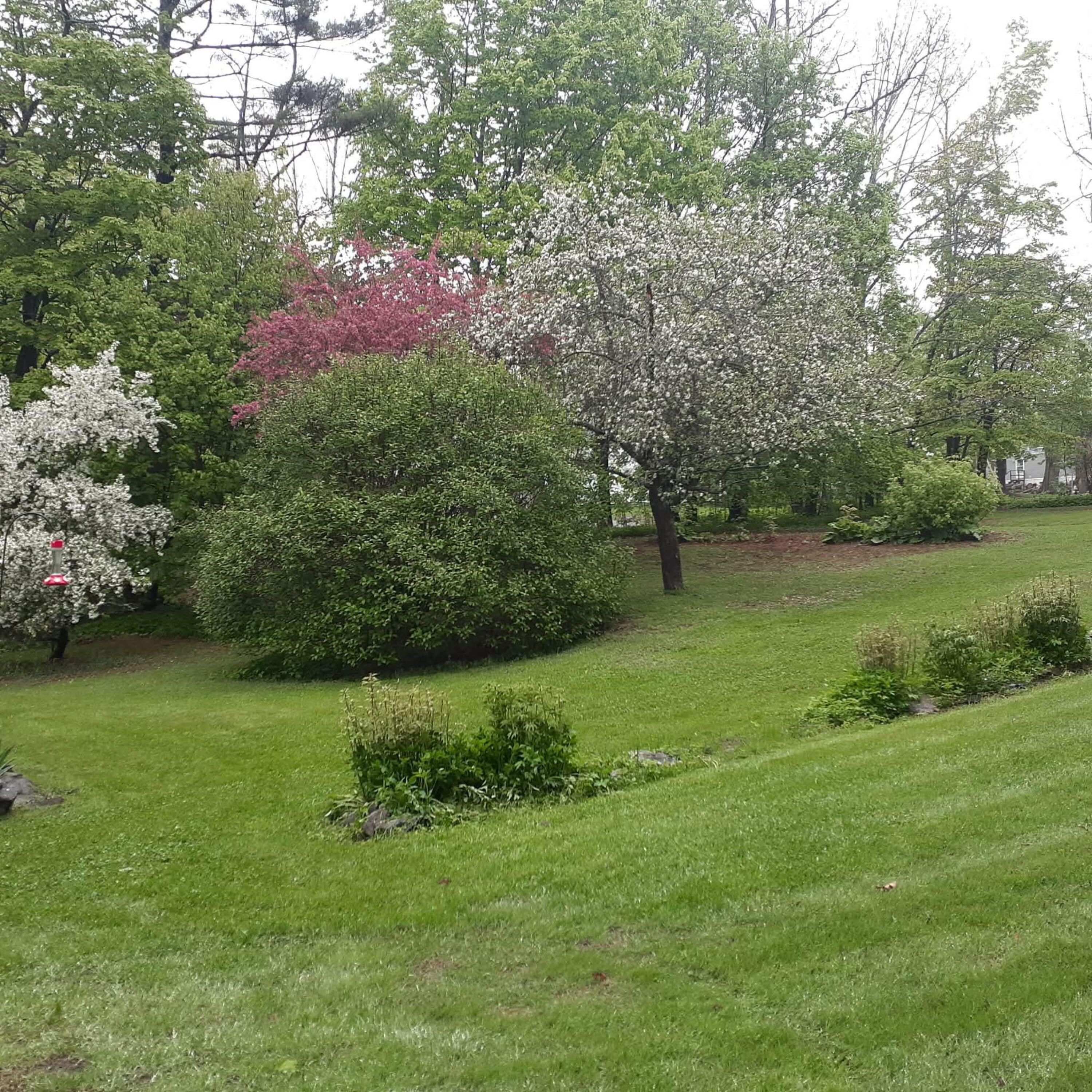 61 Pleasant Street, Dexter, ME, 04930