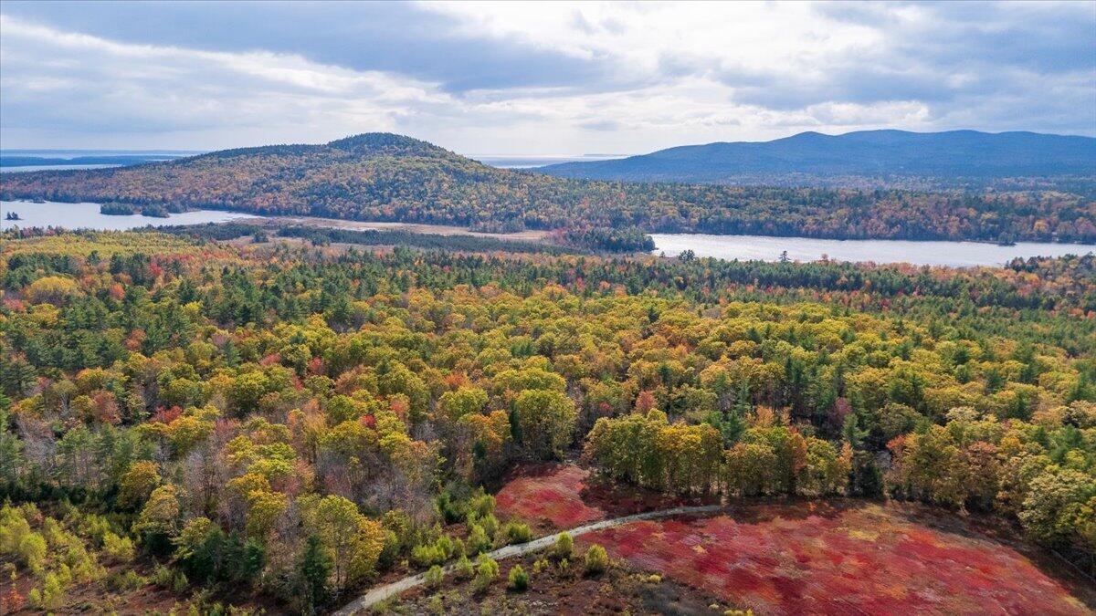 423 Beech Hill Road, Northport, ME, 04849