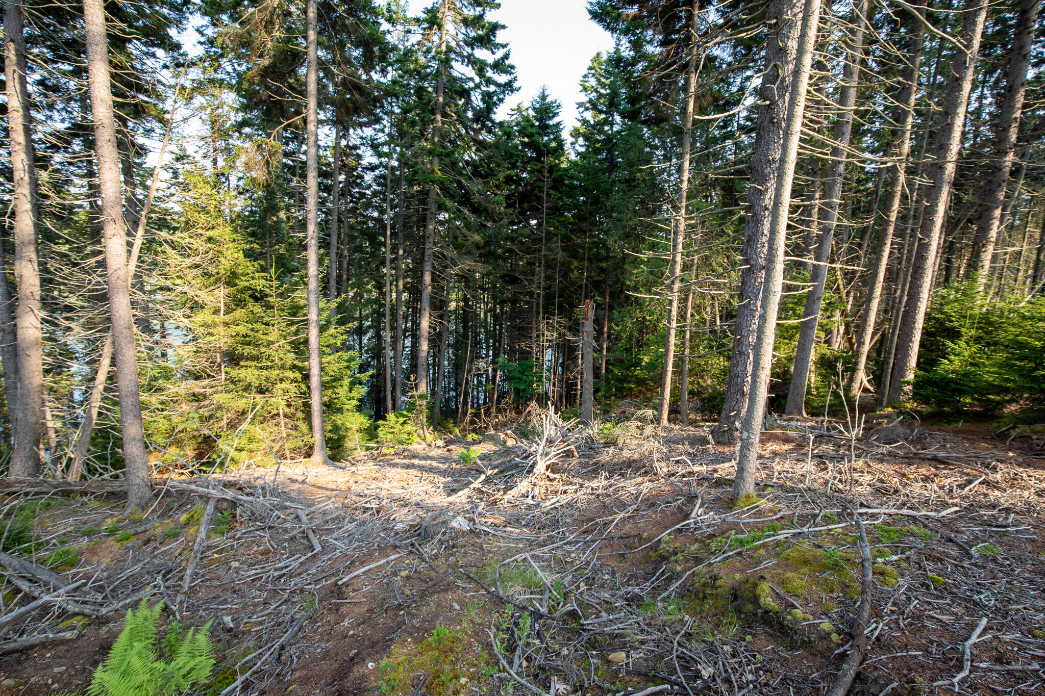 0 Bayview Road UNIT 2, Harpswell, ME, 04066