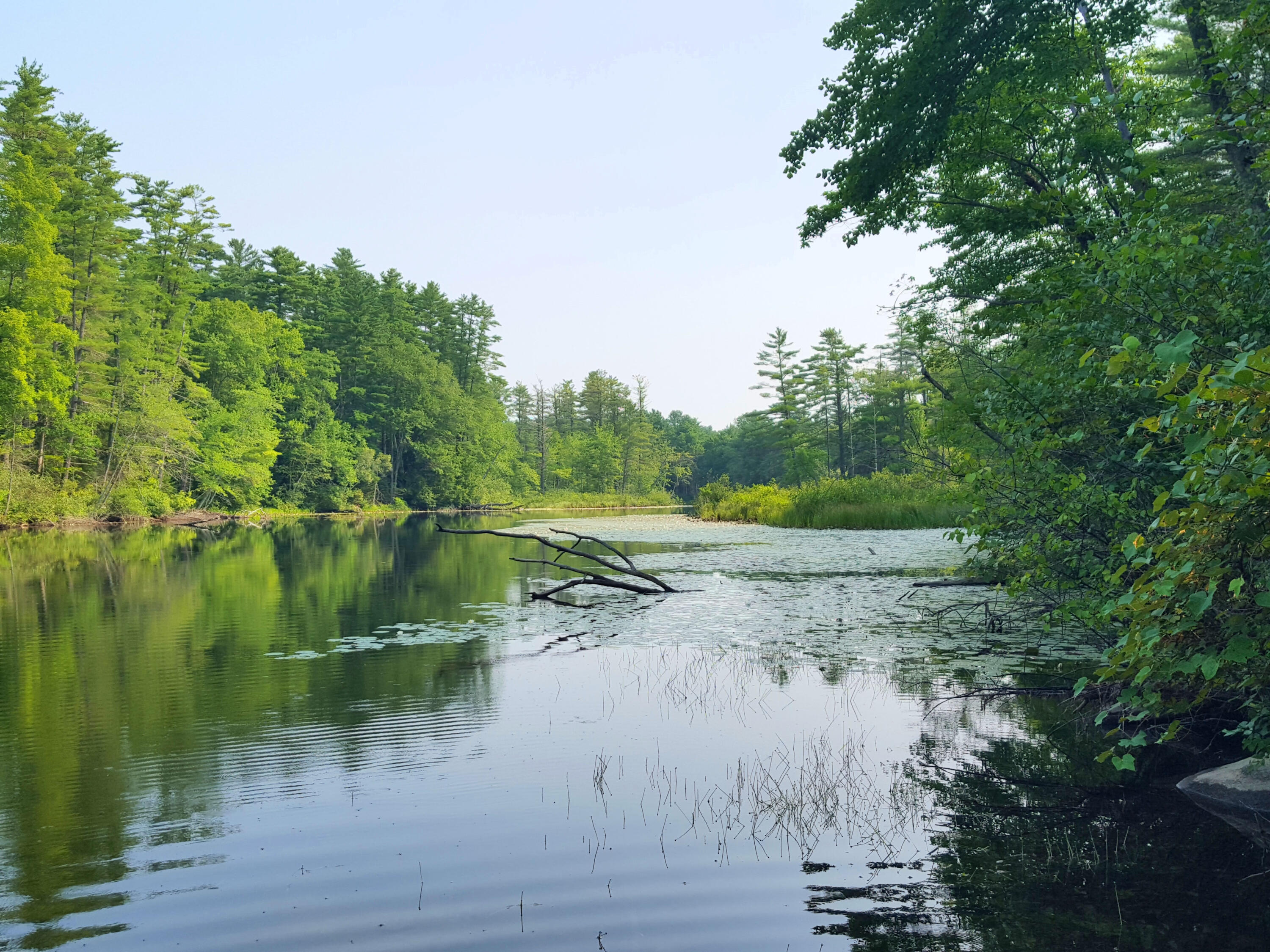 594 River Road Road, Windham, ME, 04062
