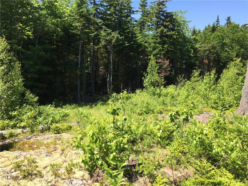 65 Lookout Mountain Road, East Machias, ME, 04630
