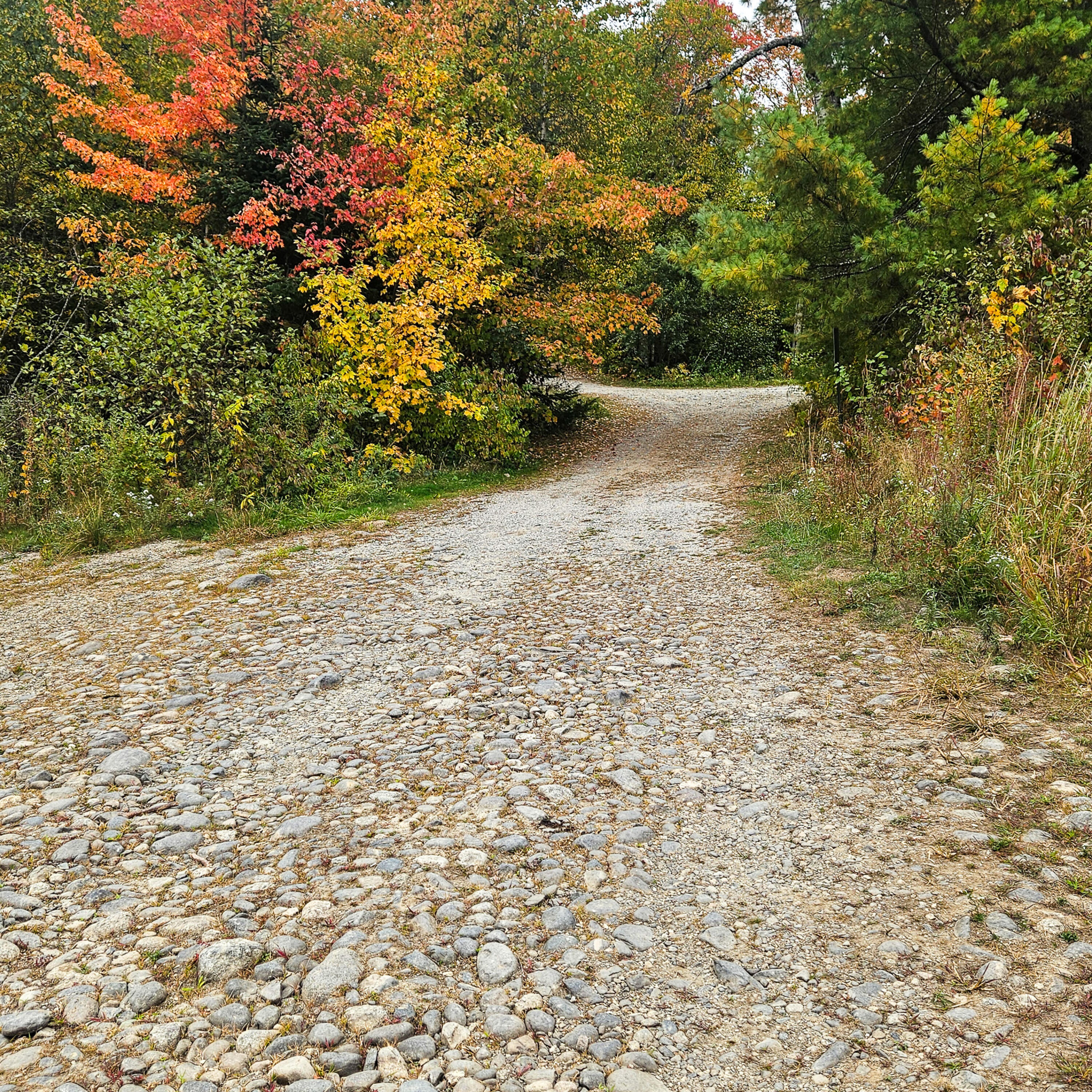 206 Morrison Farm Road, Mariaville, ME, 04605