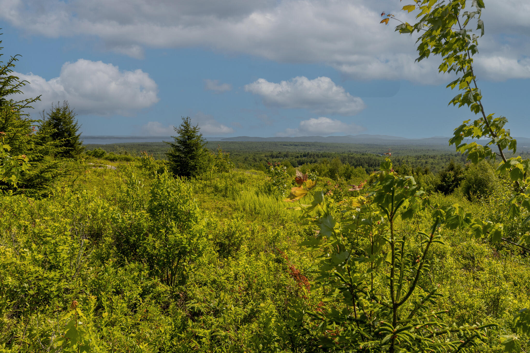 533 Mount Ephraim Map 4 Lot 63 Road, Searsport, ME, 04974