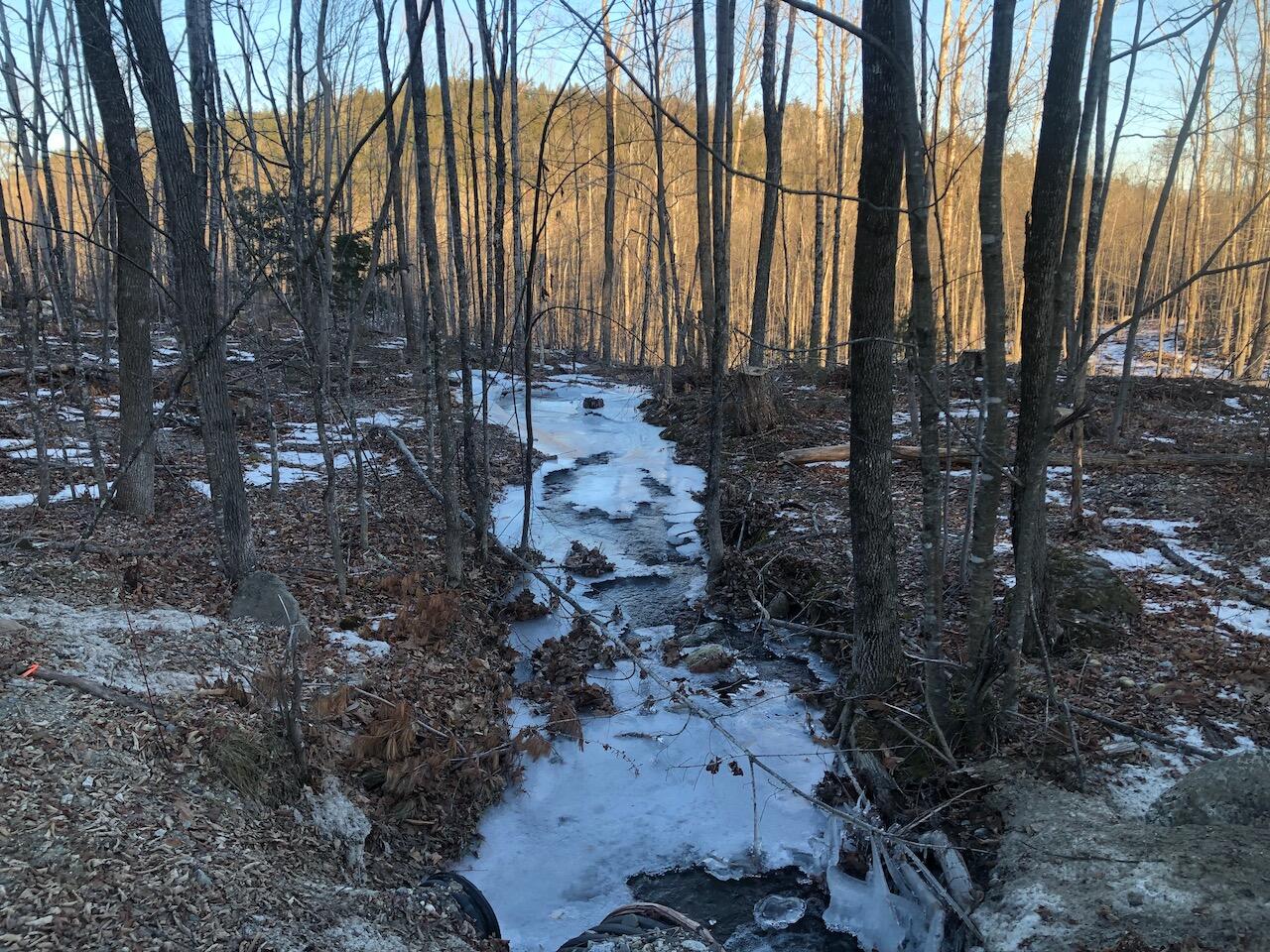 L25 Canton Mountain Road, Jay, ME 04239 IMG_7996