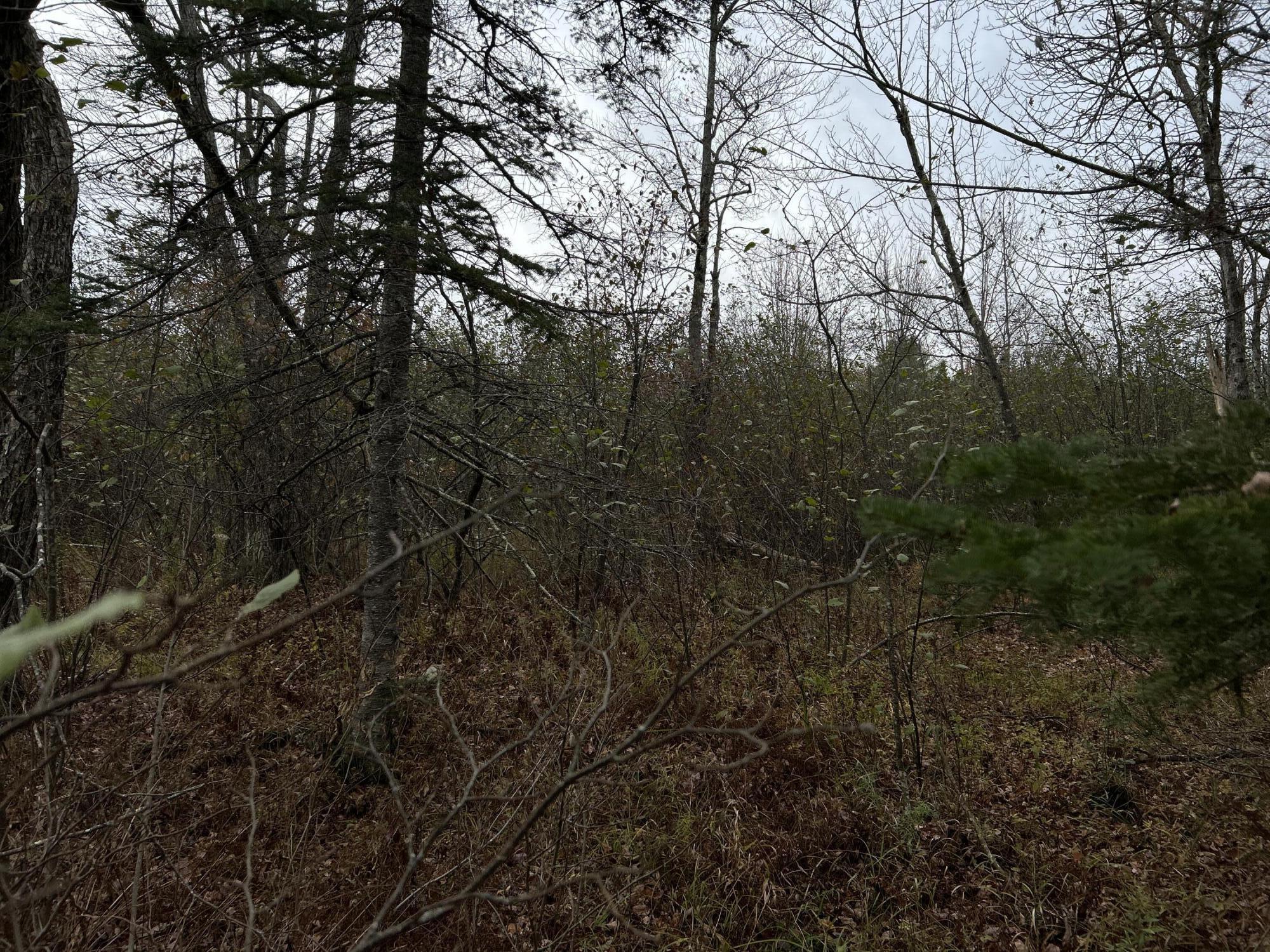 M4L18 Bog Road, Jackson, ME, 04921