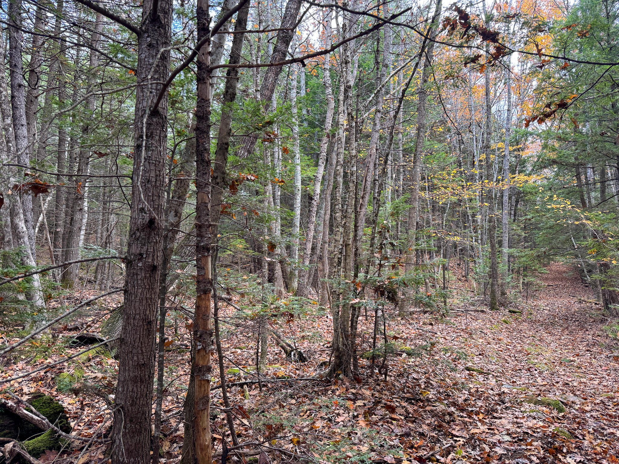 Lot 2 Darci Lane, Montville, ME, 04941