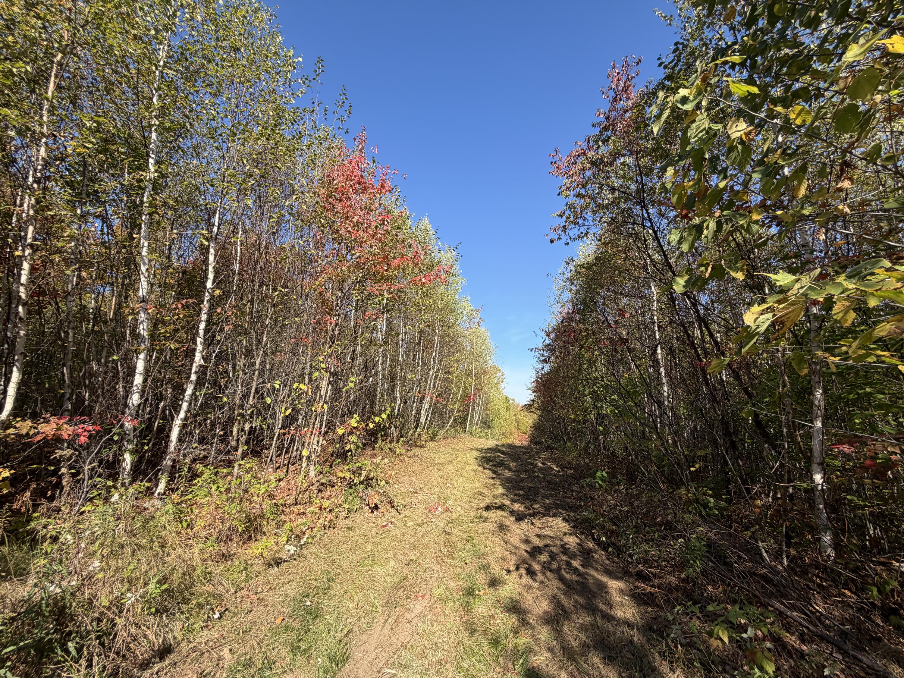 Off Lord Brook Road, Grand Falls Twp, ME, 04418
