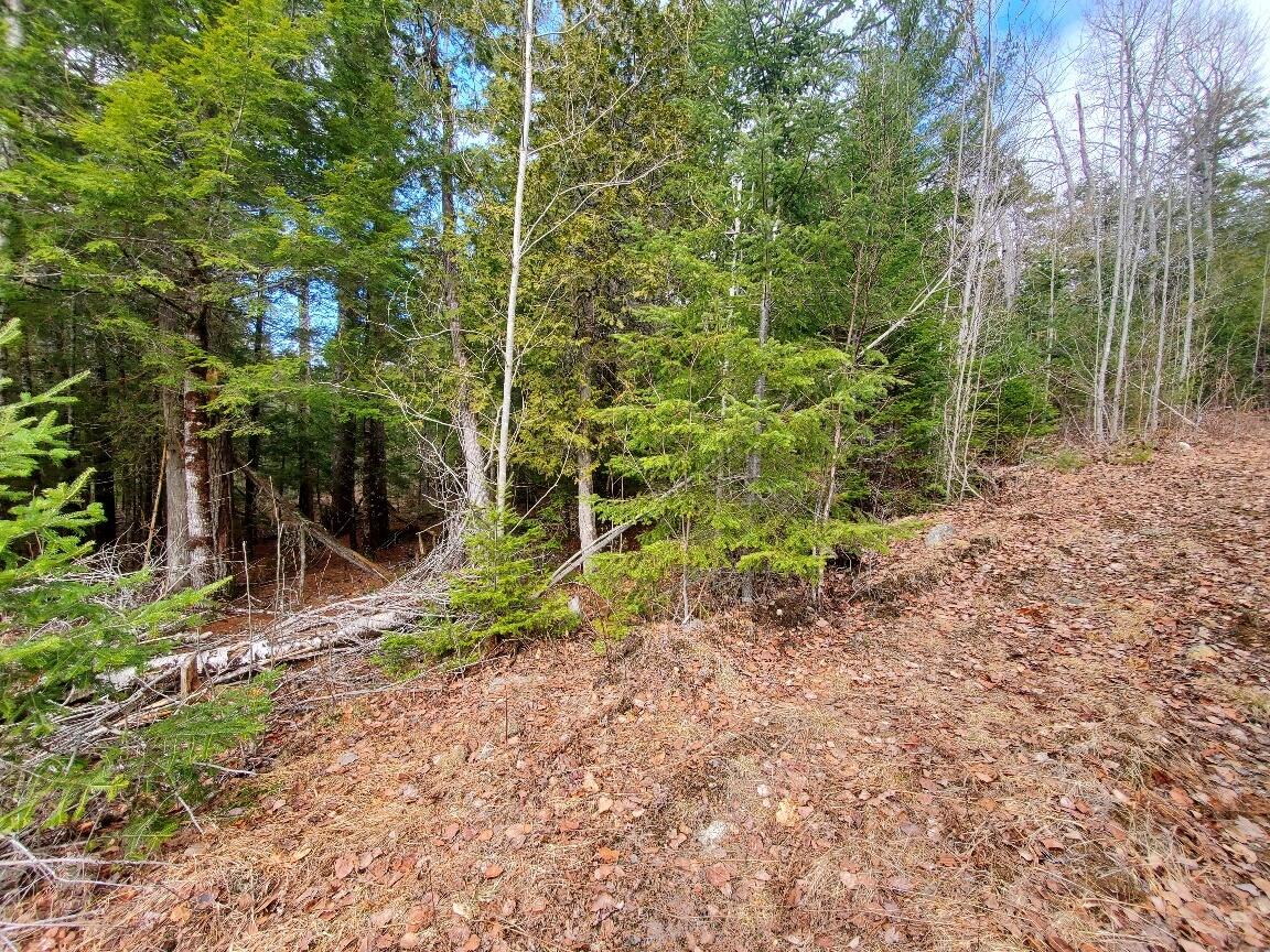 0 Pioneer Path UNIT Lot 5, Aurora, ME, 04408
