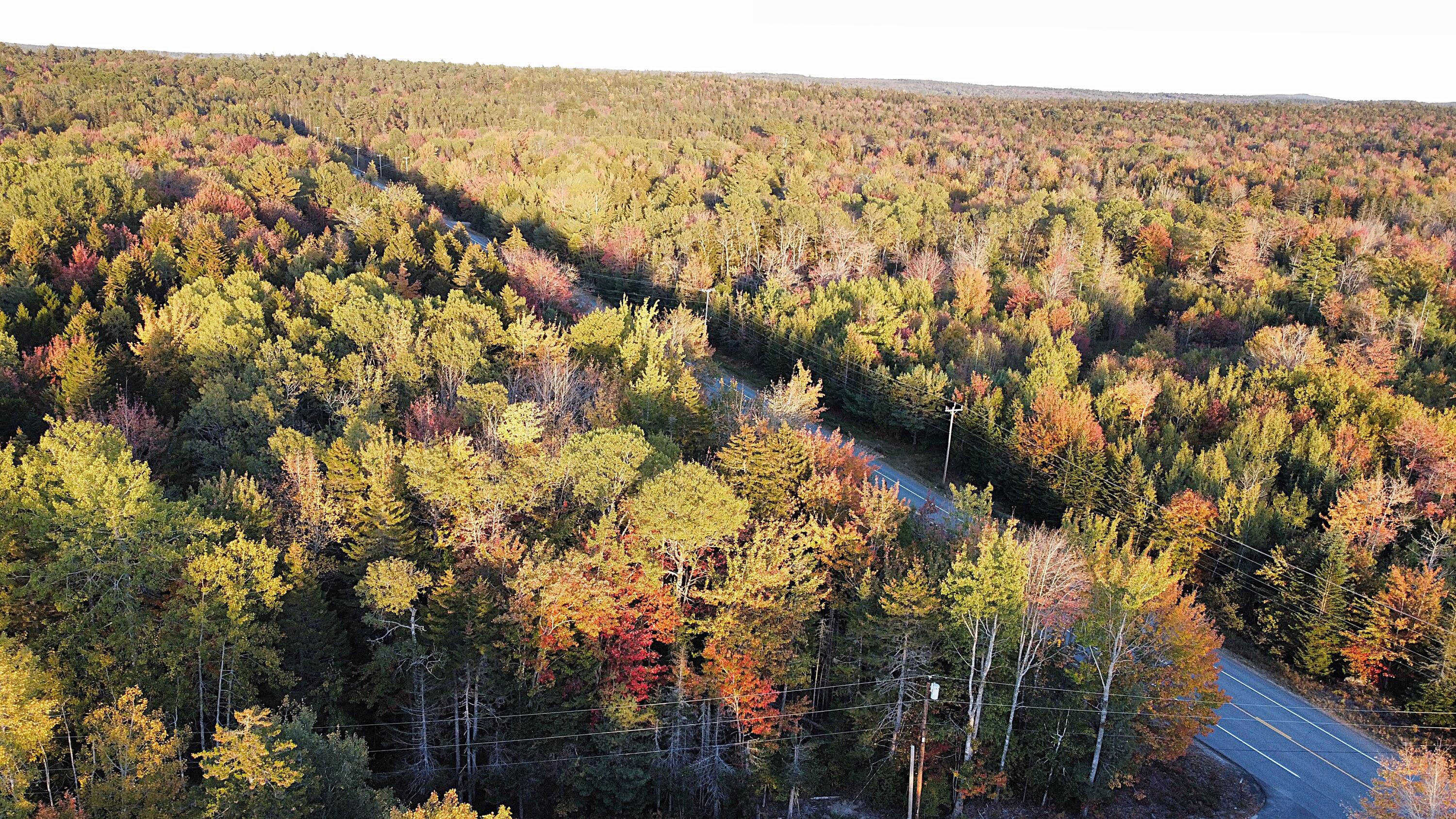 023-003-4 Walters Road, Gouldsboro, ME, 04607