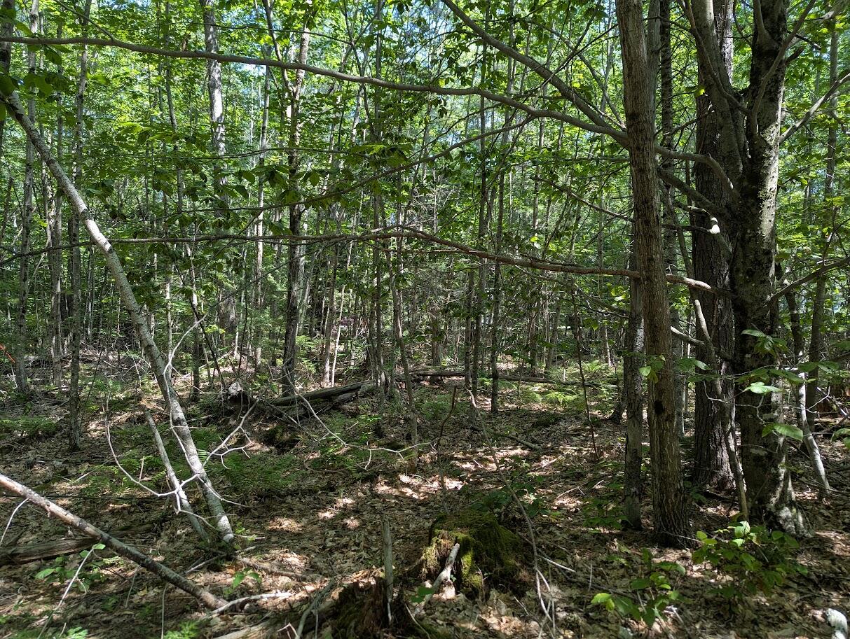 0 Beech Ridge Road, Scarborough, ME, 04074