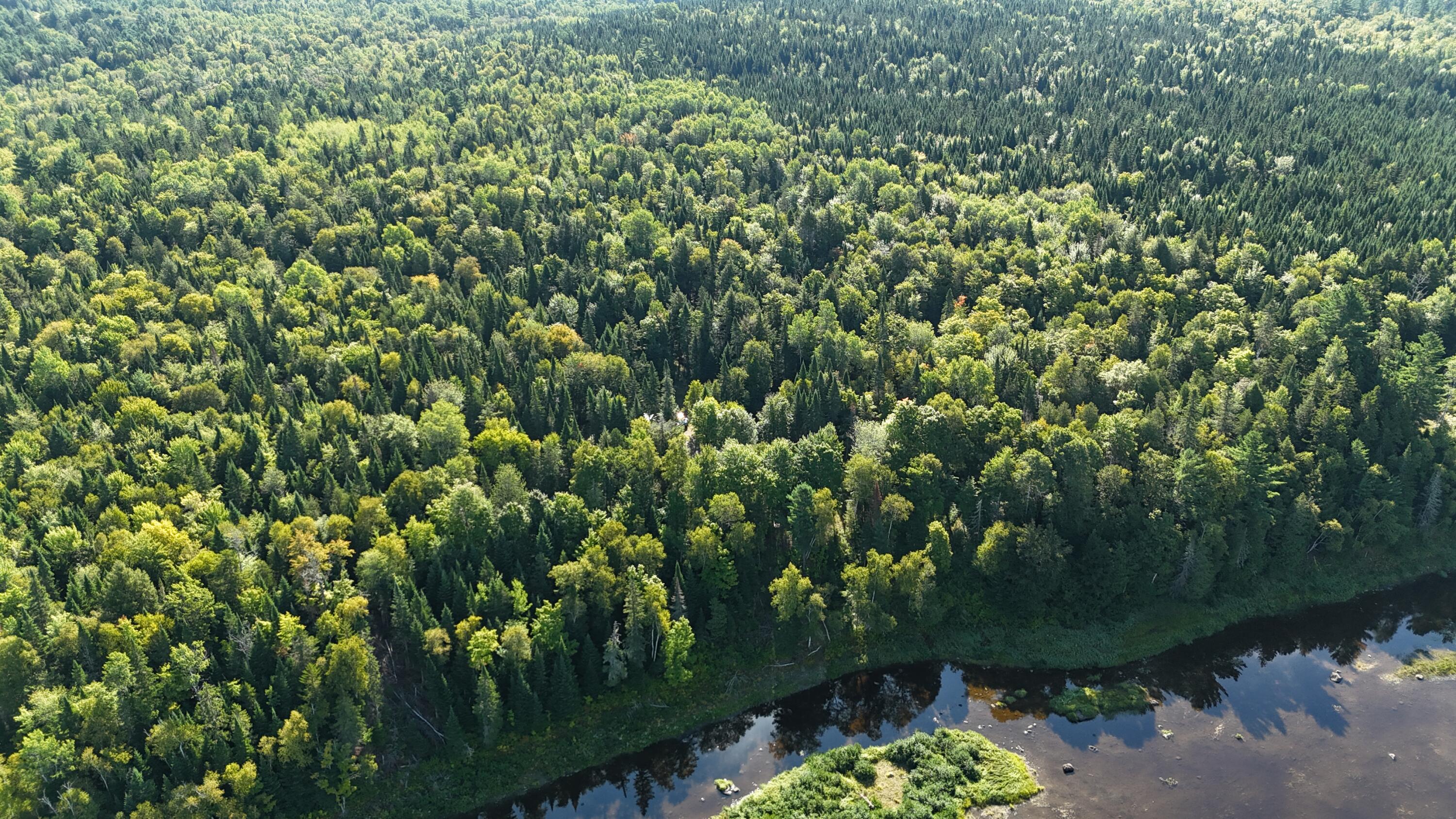 9 Jerry's Road, Masardis, ME, 04732