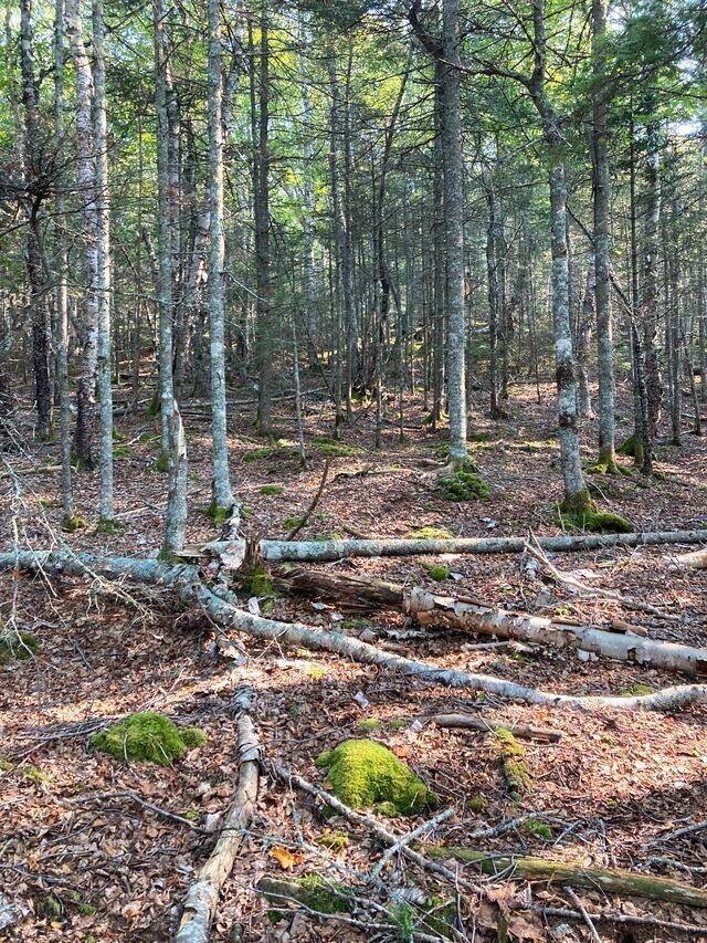 Lot 17A Yoho Head Road, Machiasport, ME, 04655