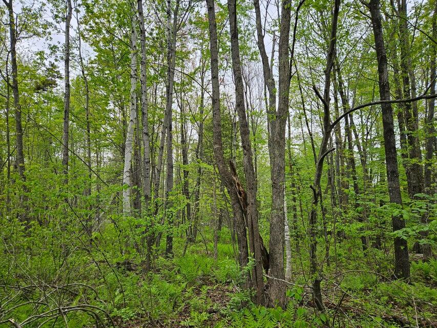 681 Mile Hill Road, New Sharon, ME, 04955