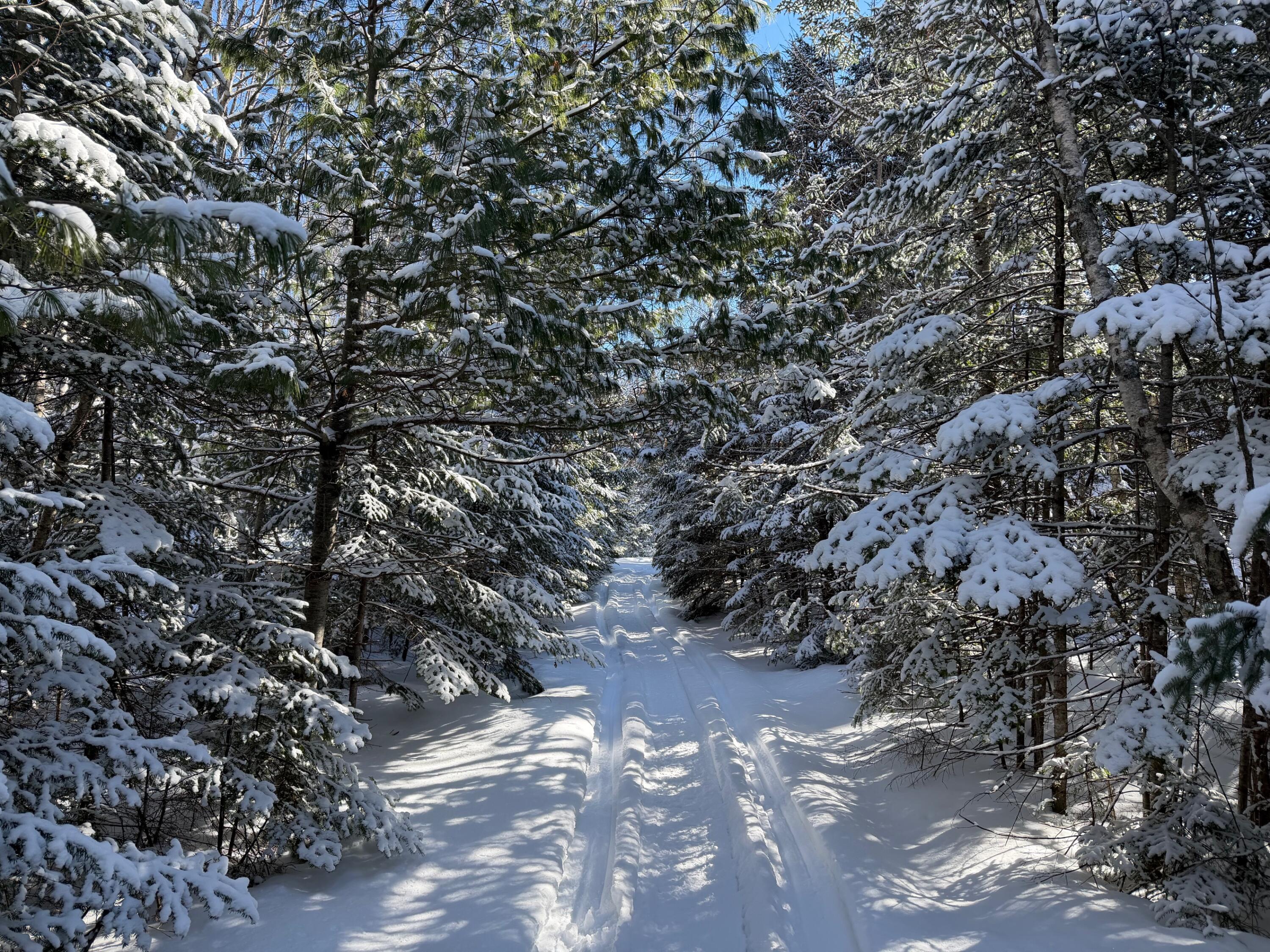 M5 Lot 1&3 East Road, Greenville, ME, 04441