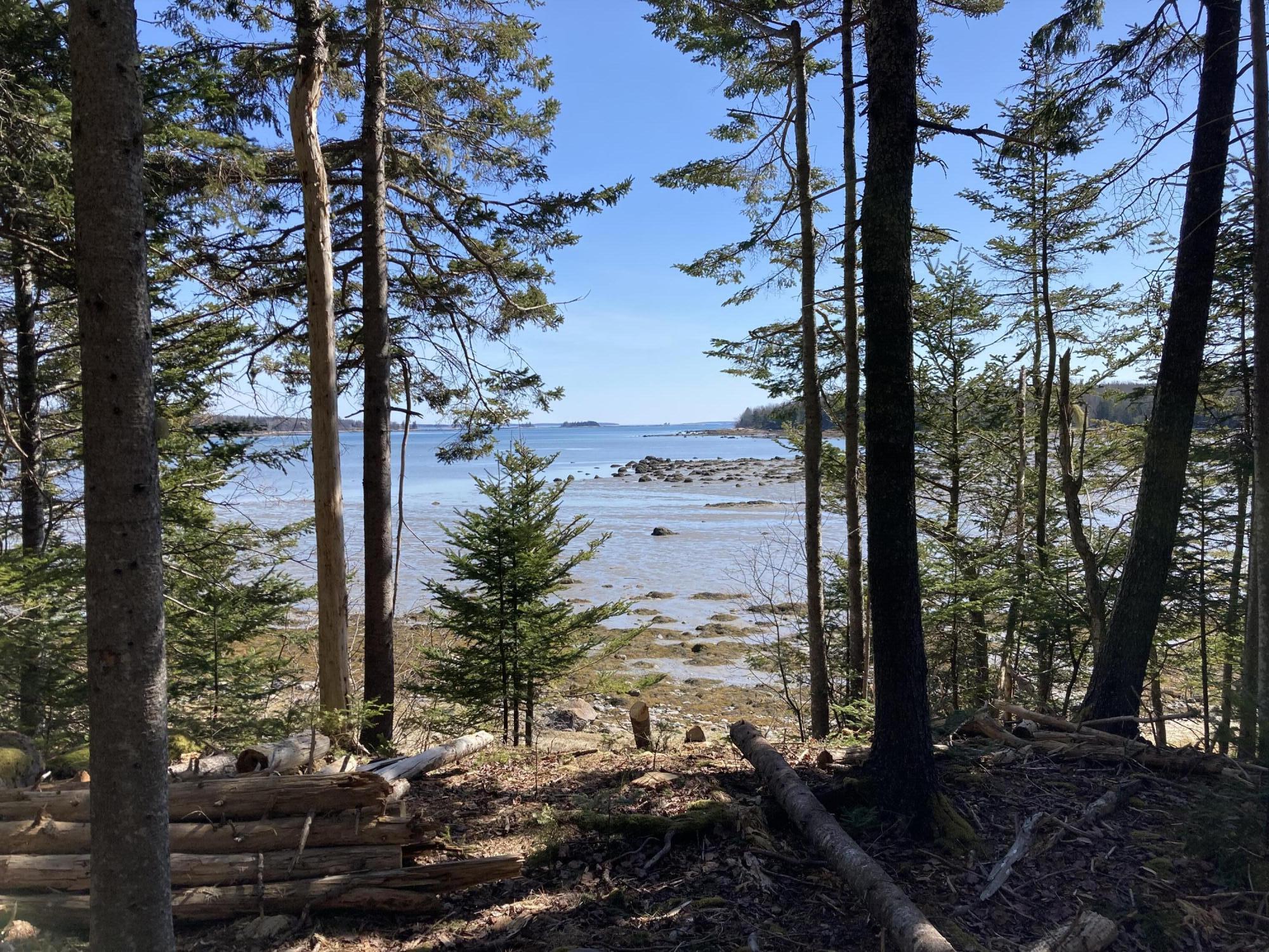 Photo of 28 Tucker Way Brooklin ME 04616