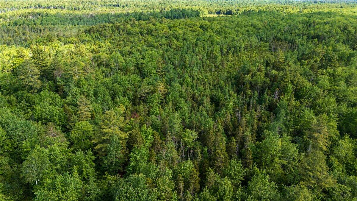 Map 7 Lot 8-1 Cushing Road, Westside, Cushing, ME, 04563