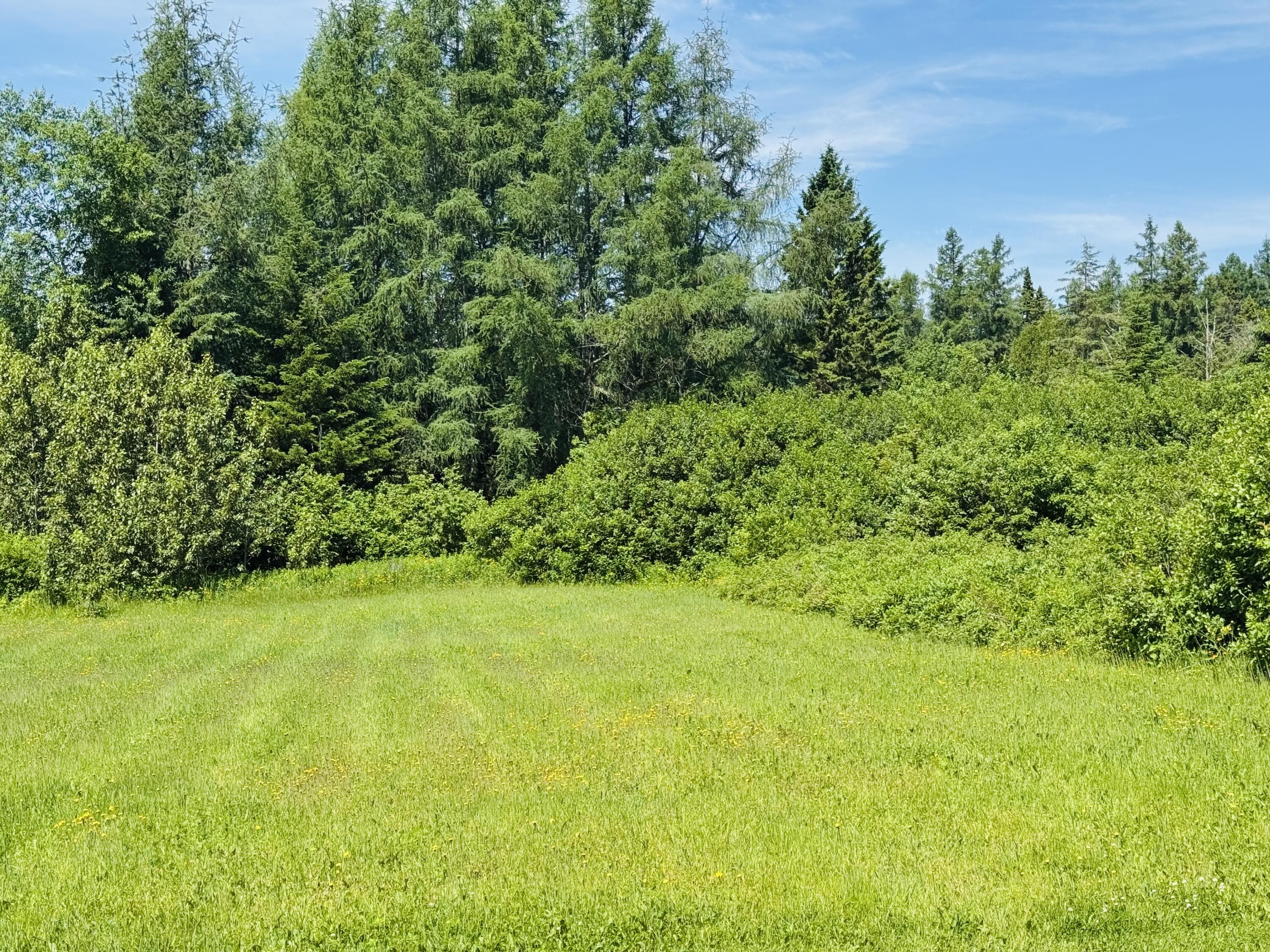 1710 Van Buren Road, Connor Twp, ME, 04736