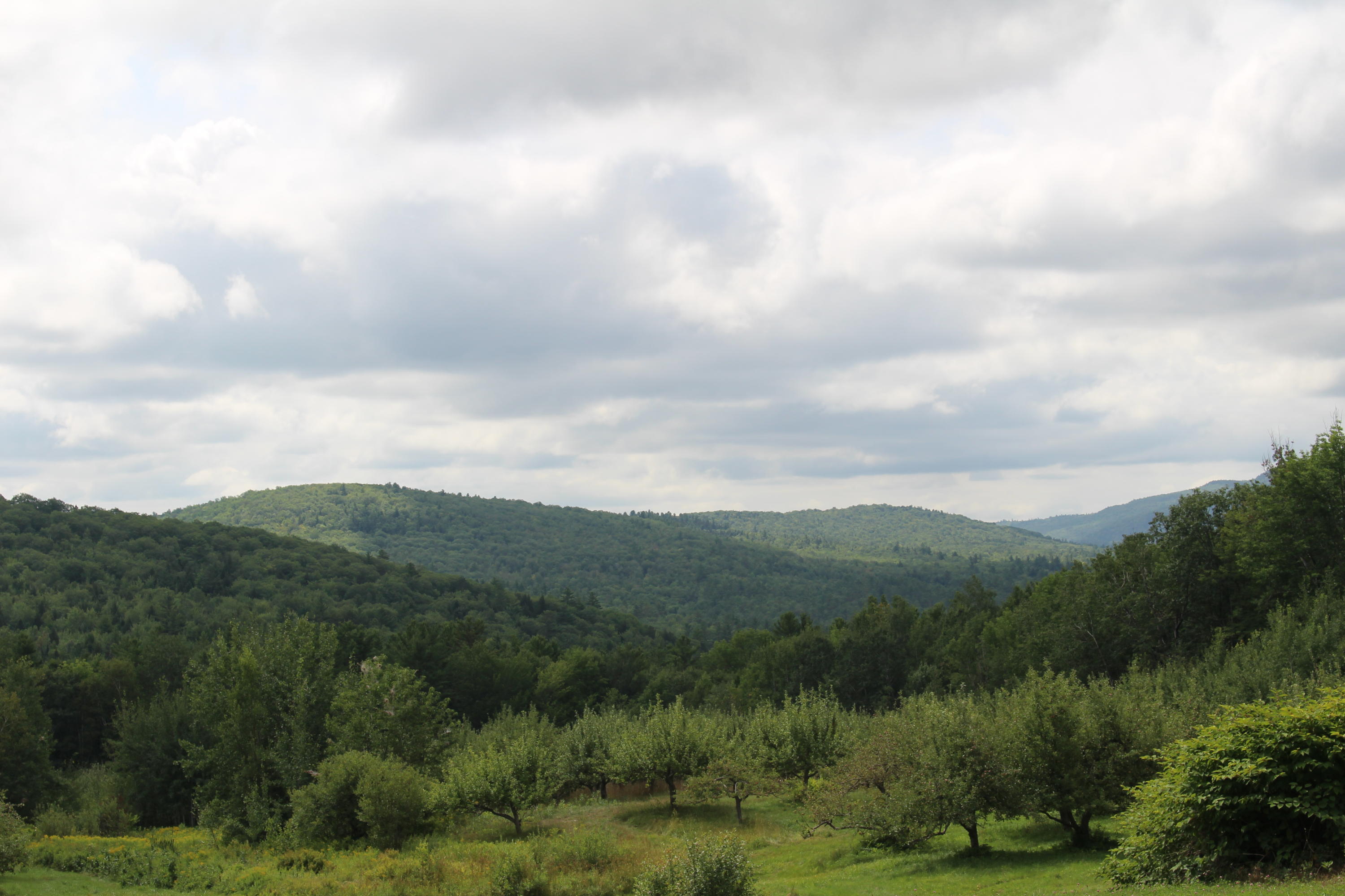 684 Grover Hill Road, Bethel, ME, 04217