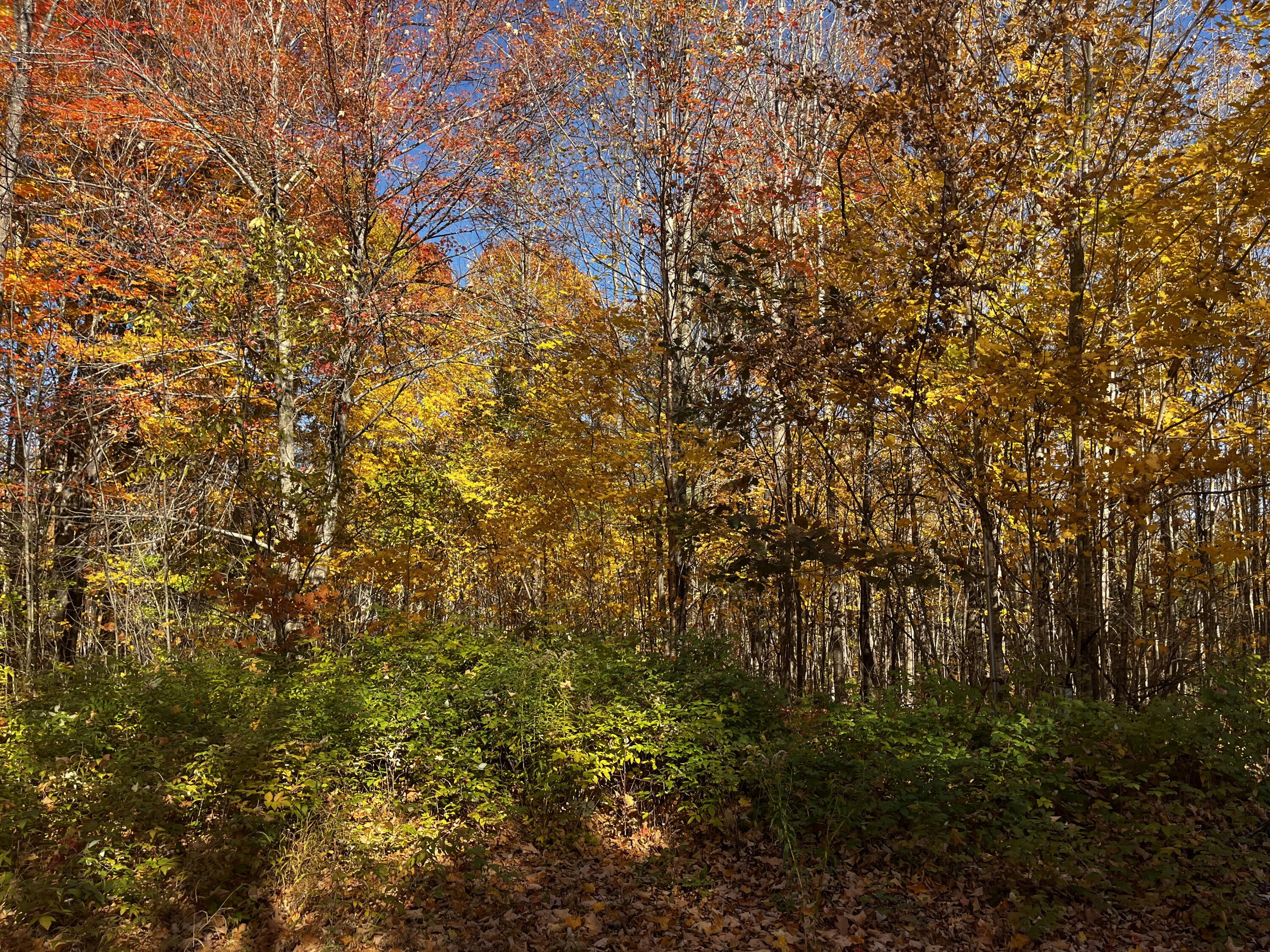Photo of 18 Dawes Road Dover-Foxcroft ME 04426