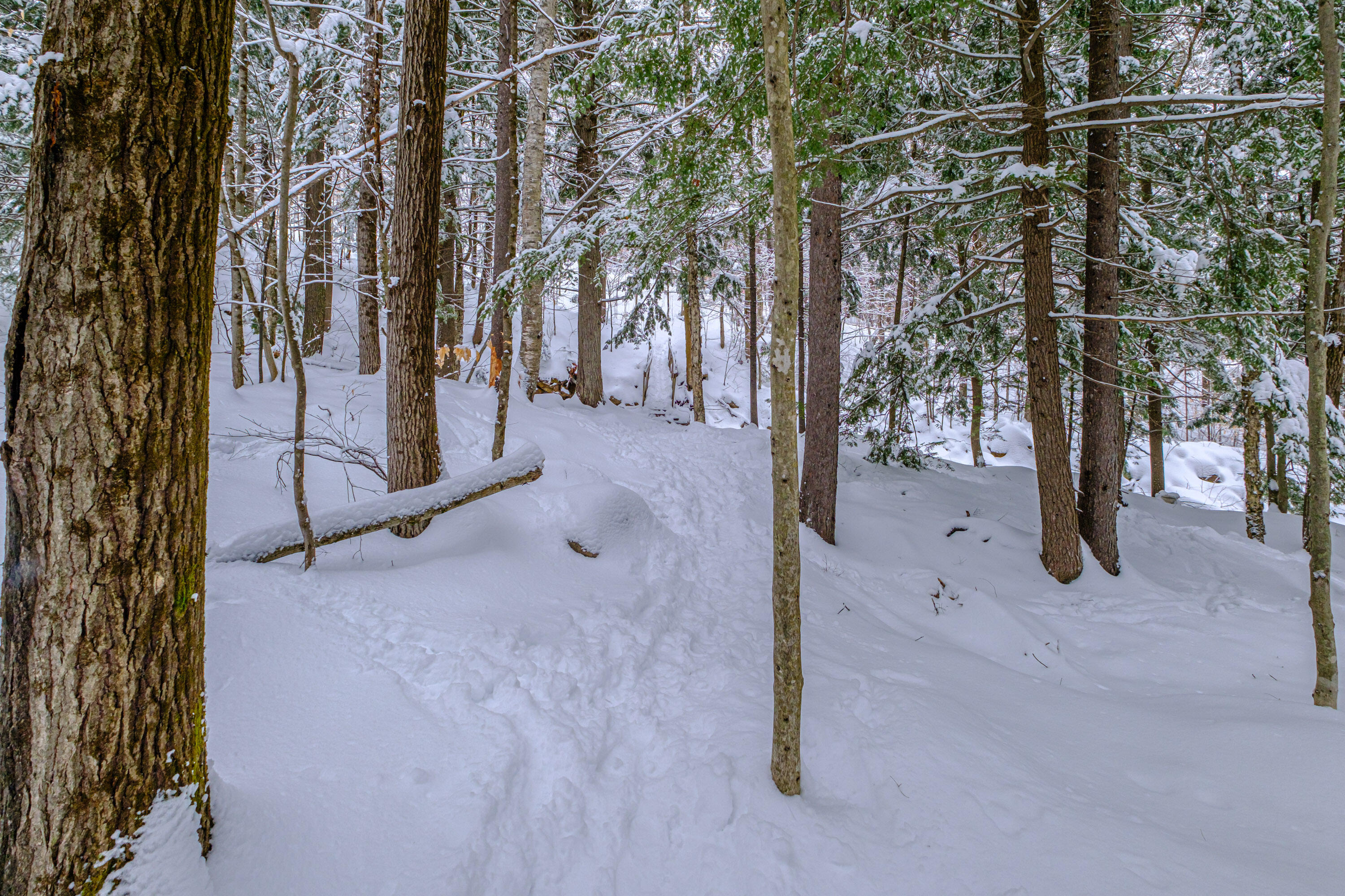 45 Viking Village Road, Newry, ME, 04261