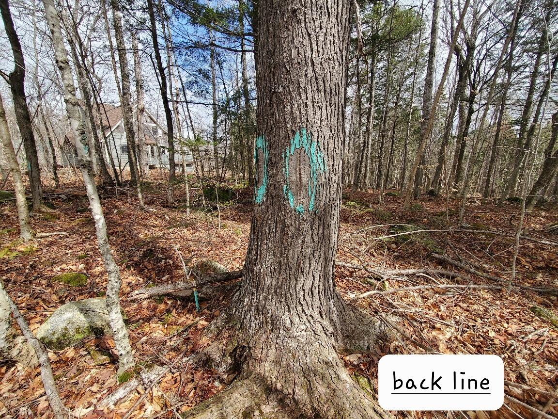 0 Sandy Beach Road, Danforth, ME, 04424