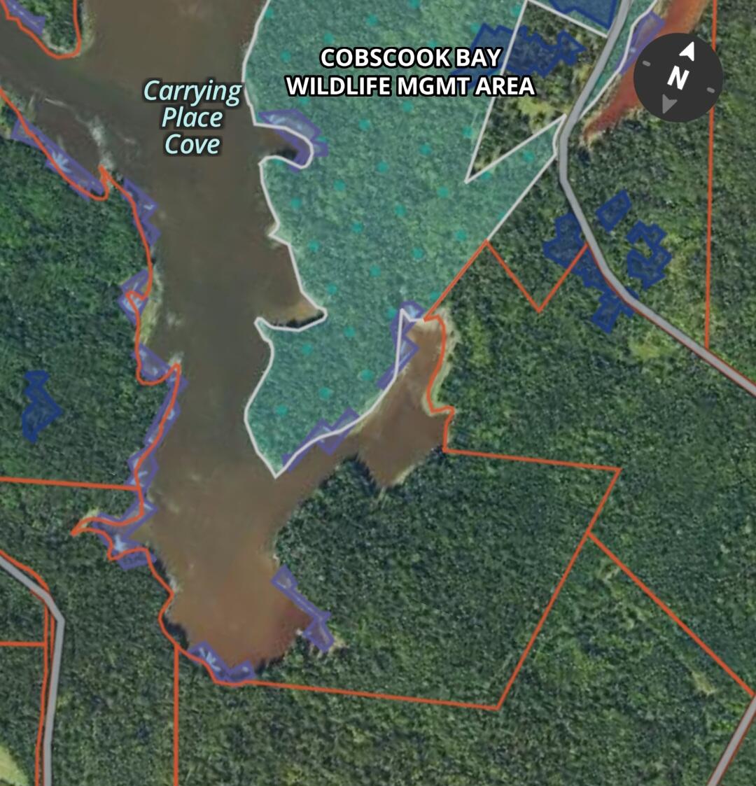 01-4 WA035, Trescott Twp, ME, 04652
