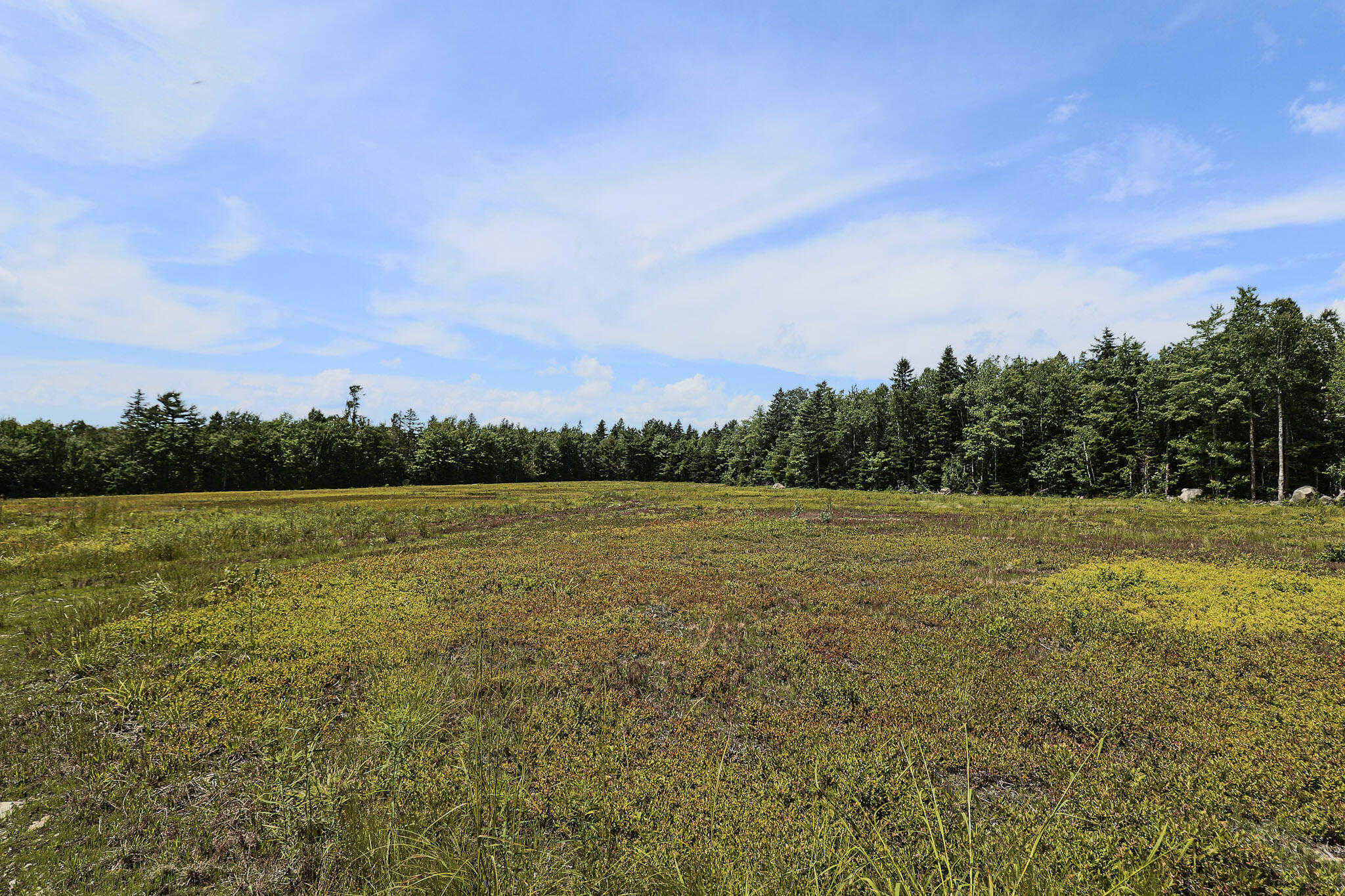 MAP13LOT9 Martins Ridge Road, Franklin, ME, 04634