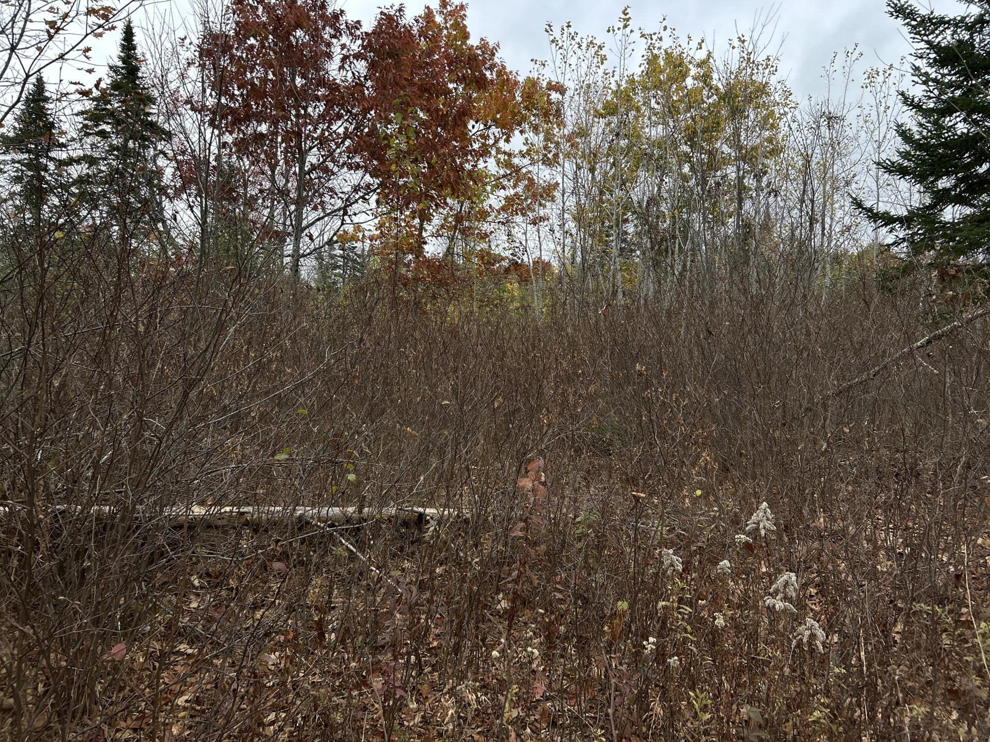 M4L18 Bog Road, Jackson, ME, 04921