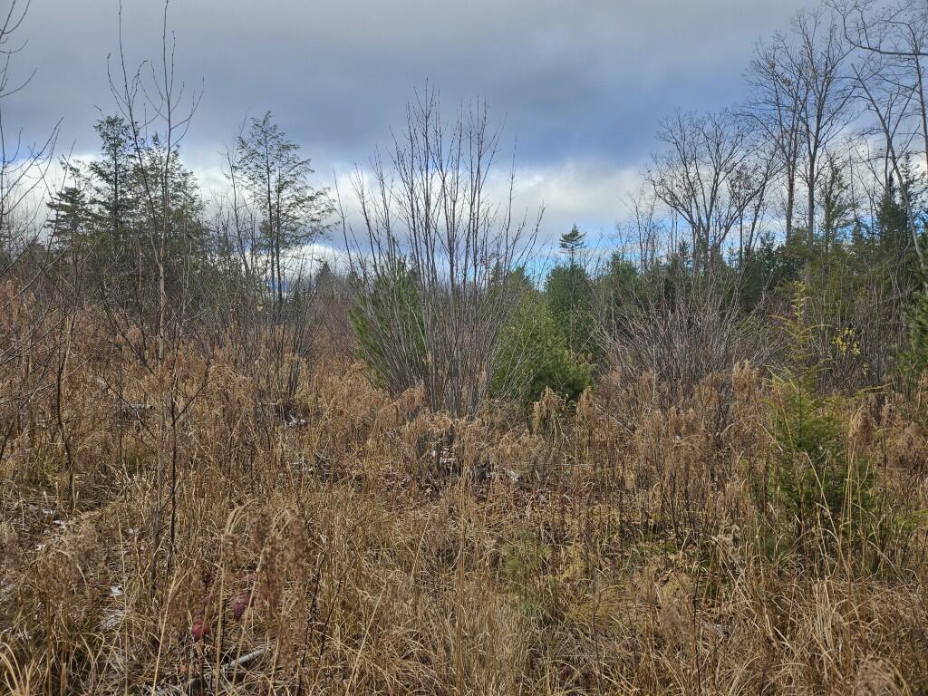 L52 Bridgton Road, Sweden, ME, 04040