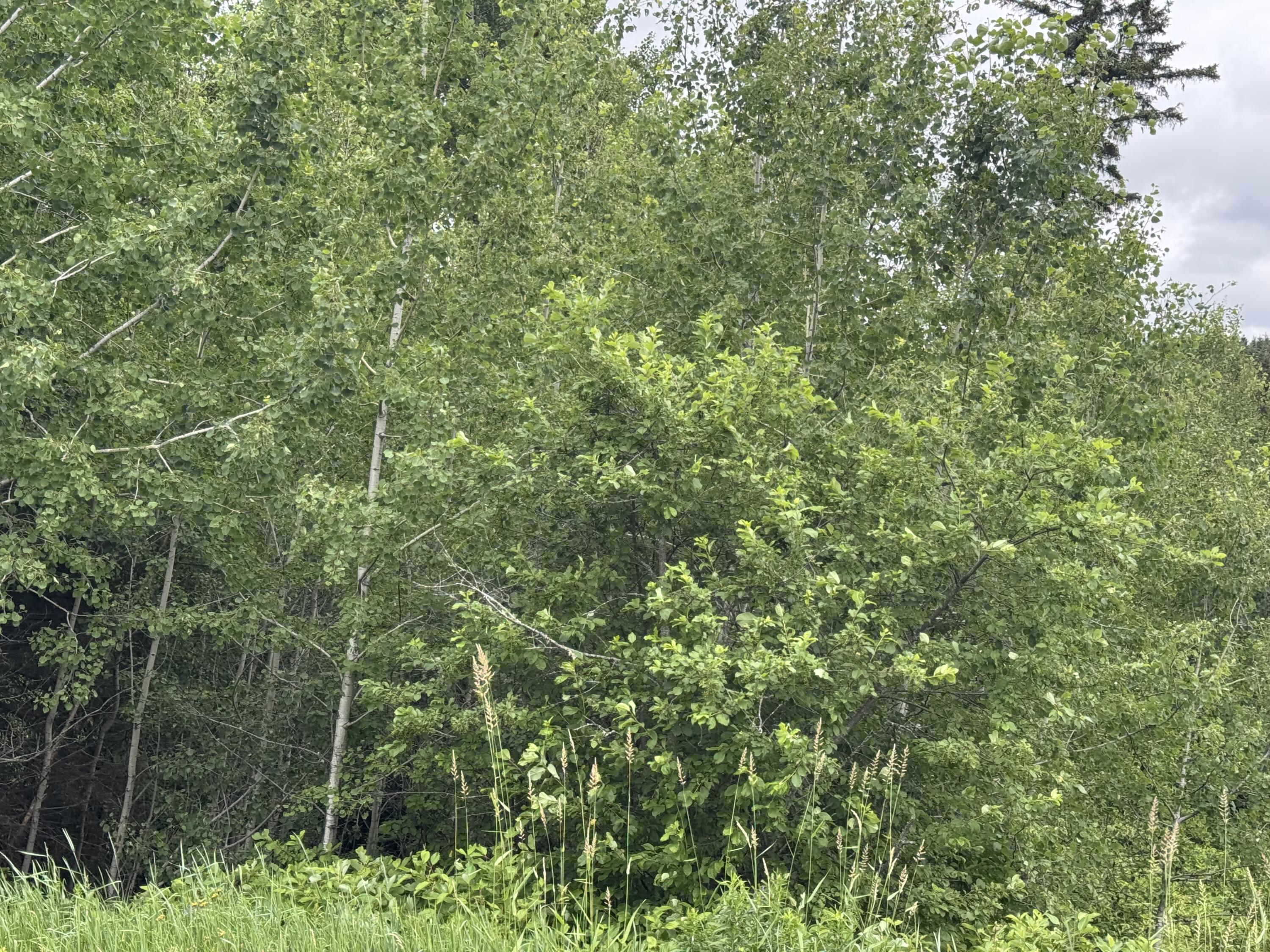 26 New Canada Road, New Canada, ME, 04743