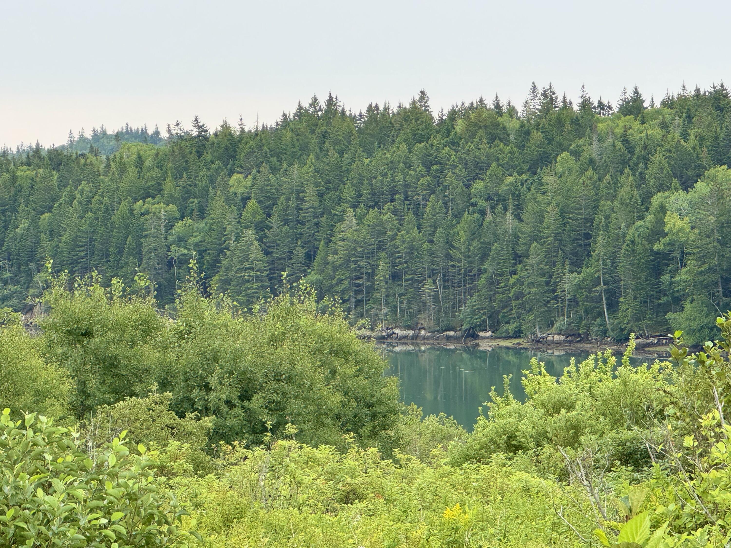 Photo of Lot 102.1 Dixie Road Trescott Twp ME 04652