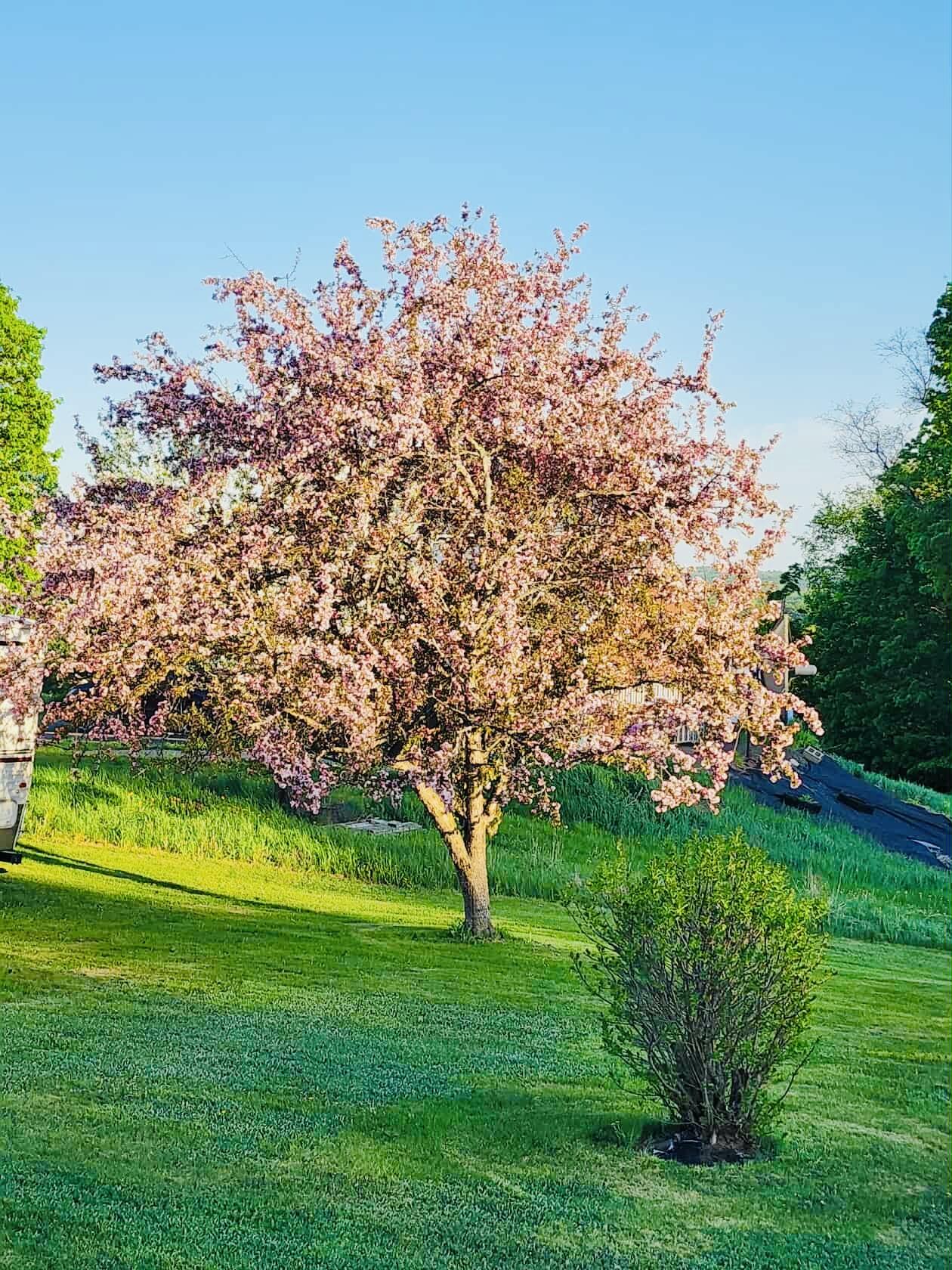 28 Messina Drive, Skowhegan, ME, 04976